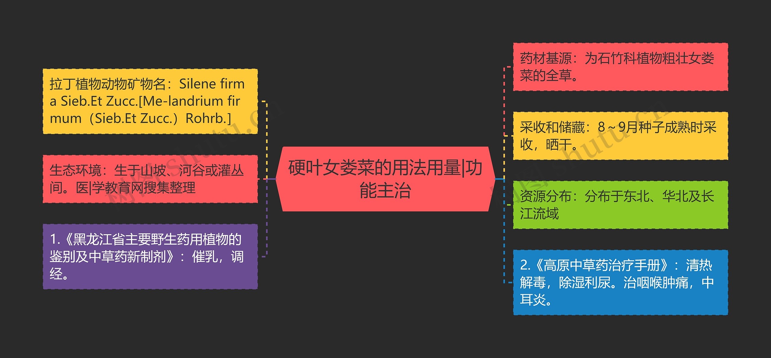 硬叶女娄菜的用法用量|功能主治思维导图