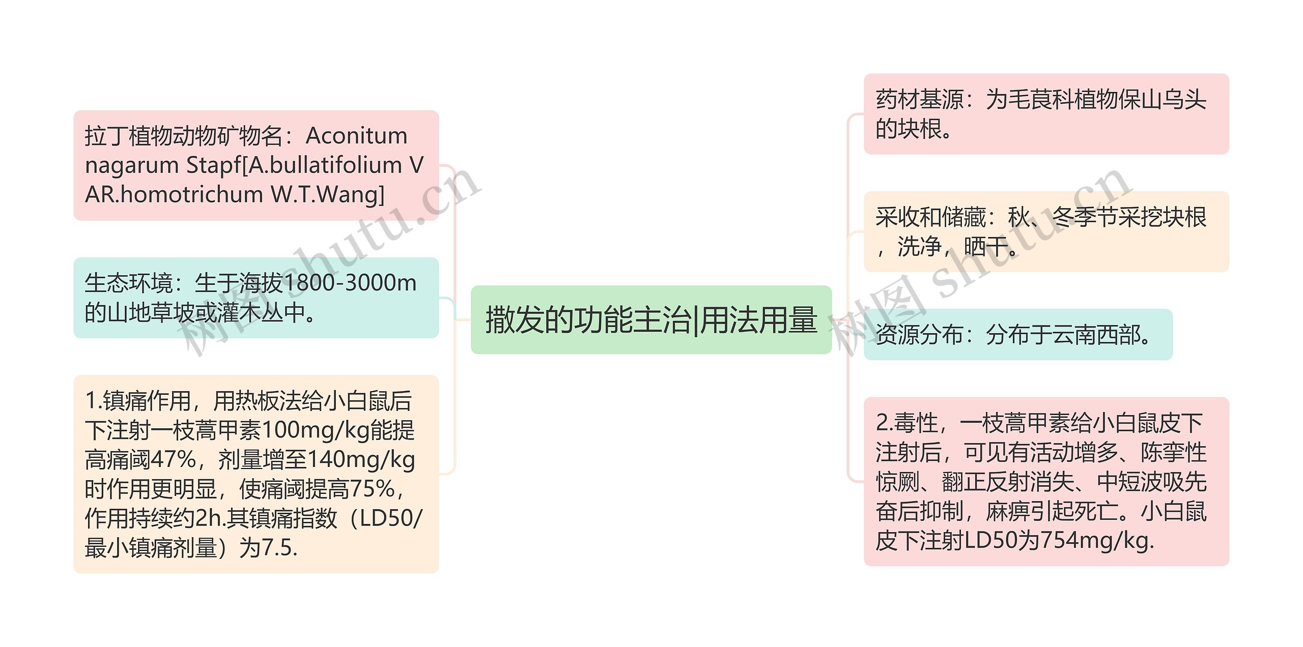 撒发的功能主治|用法用量思维导图