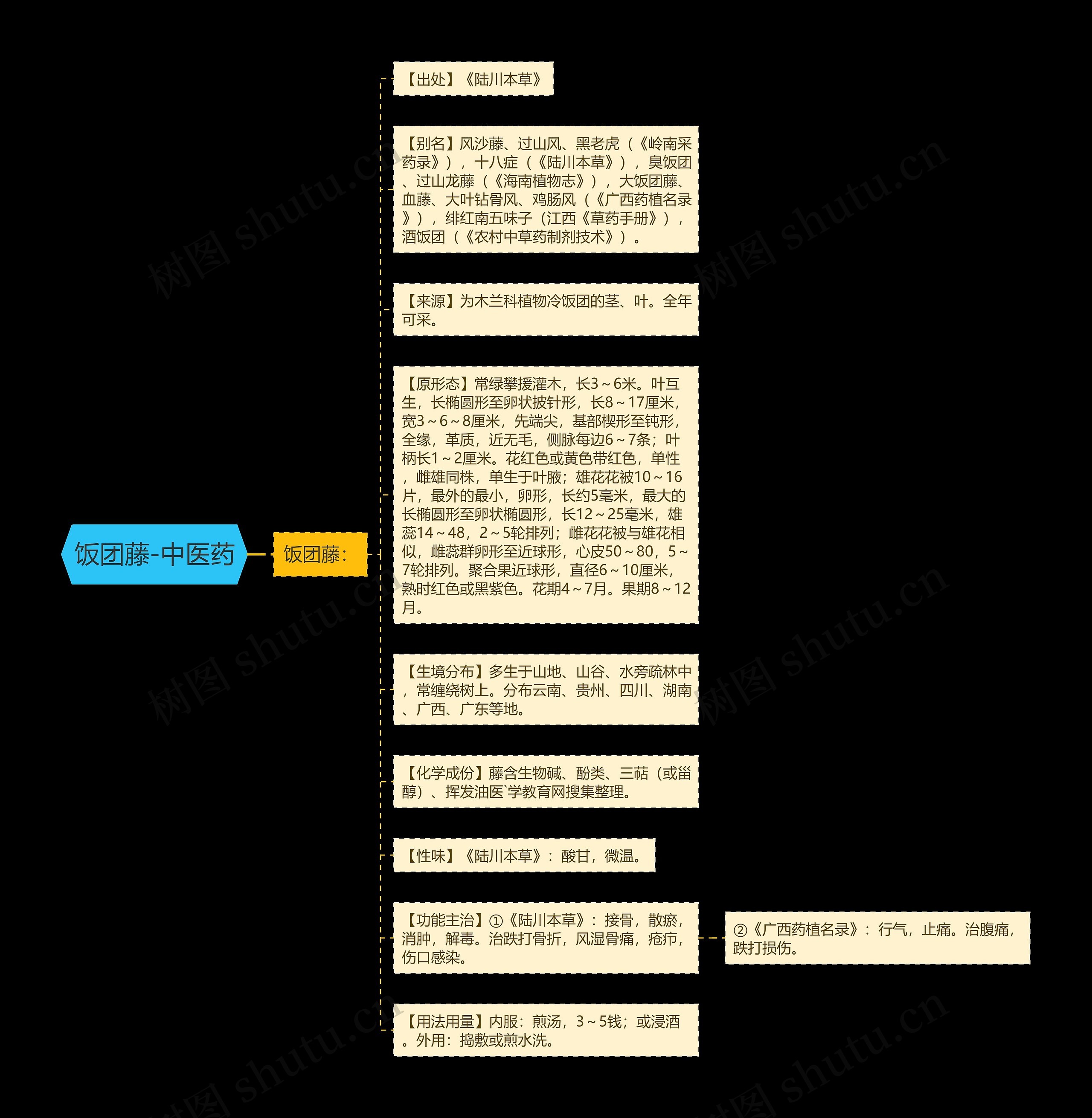 饭团藤-中医药思维导图
