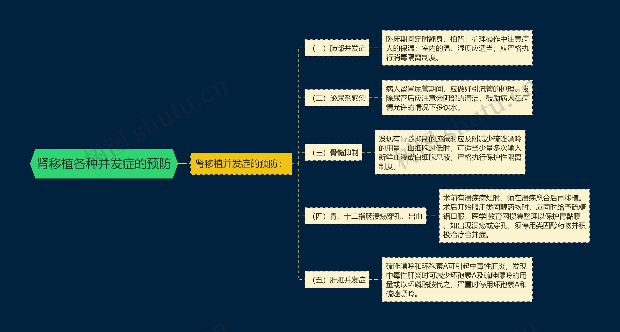 肾移植各种并发症的预防思维导图