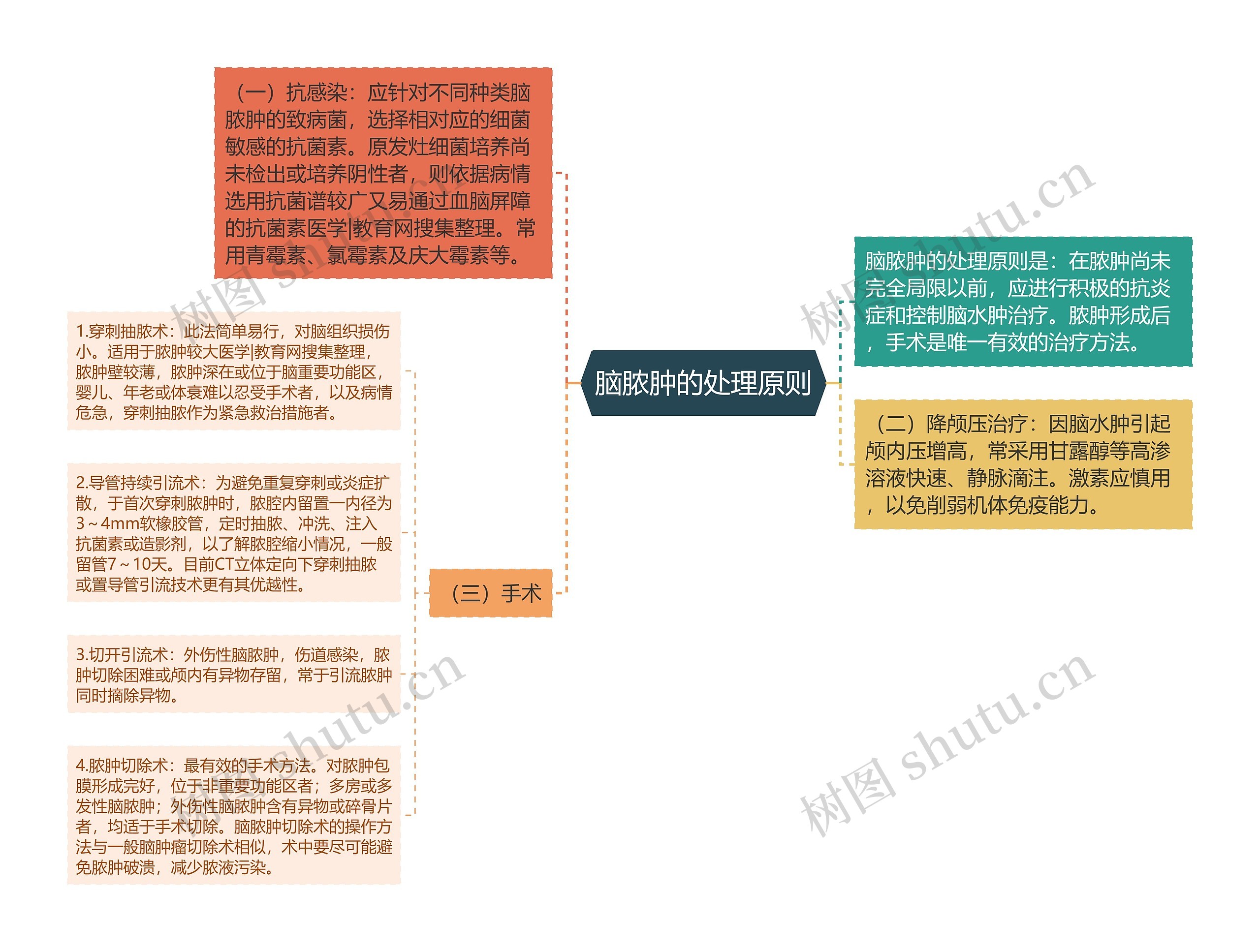 脑脓肿的处理原则思维导图