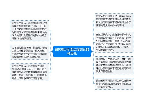 研究揭示引起过度进食的神经元