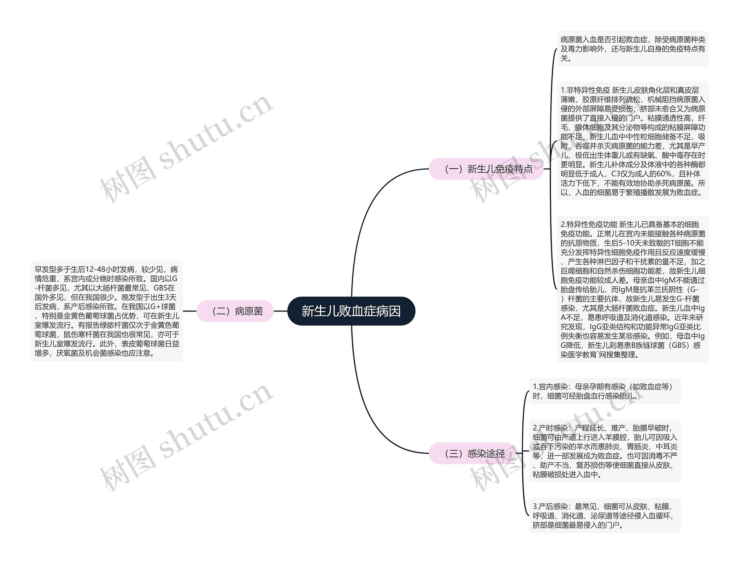 新生儿败血症病因思维导图