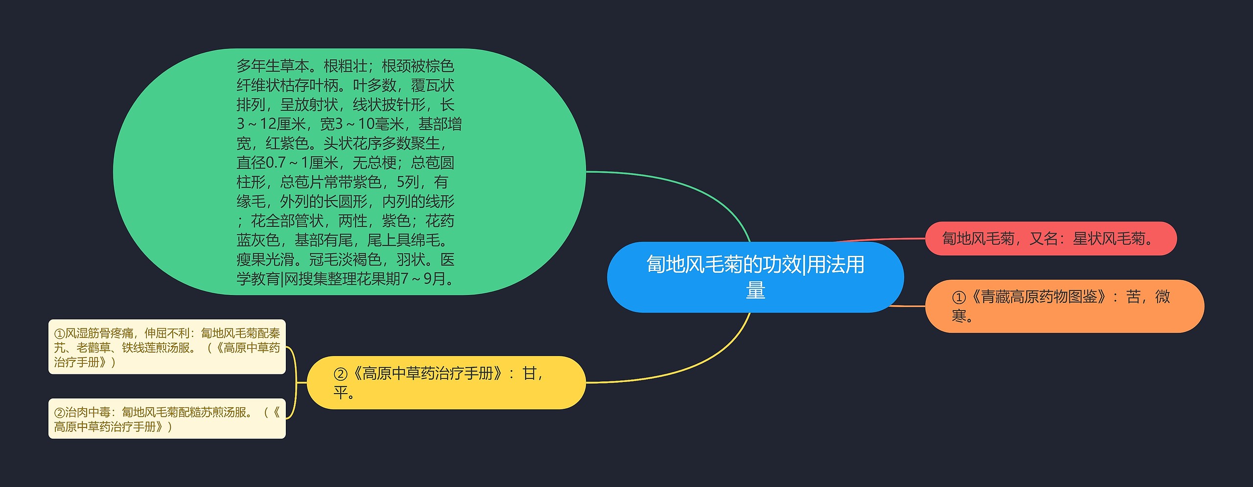 匐地风毛菊的功效|用法用量思维导图