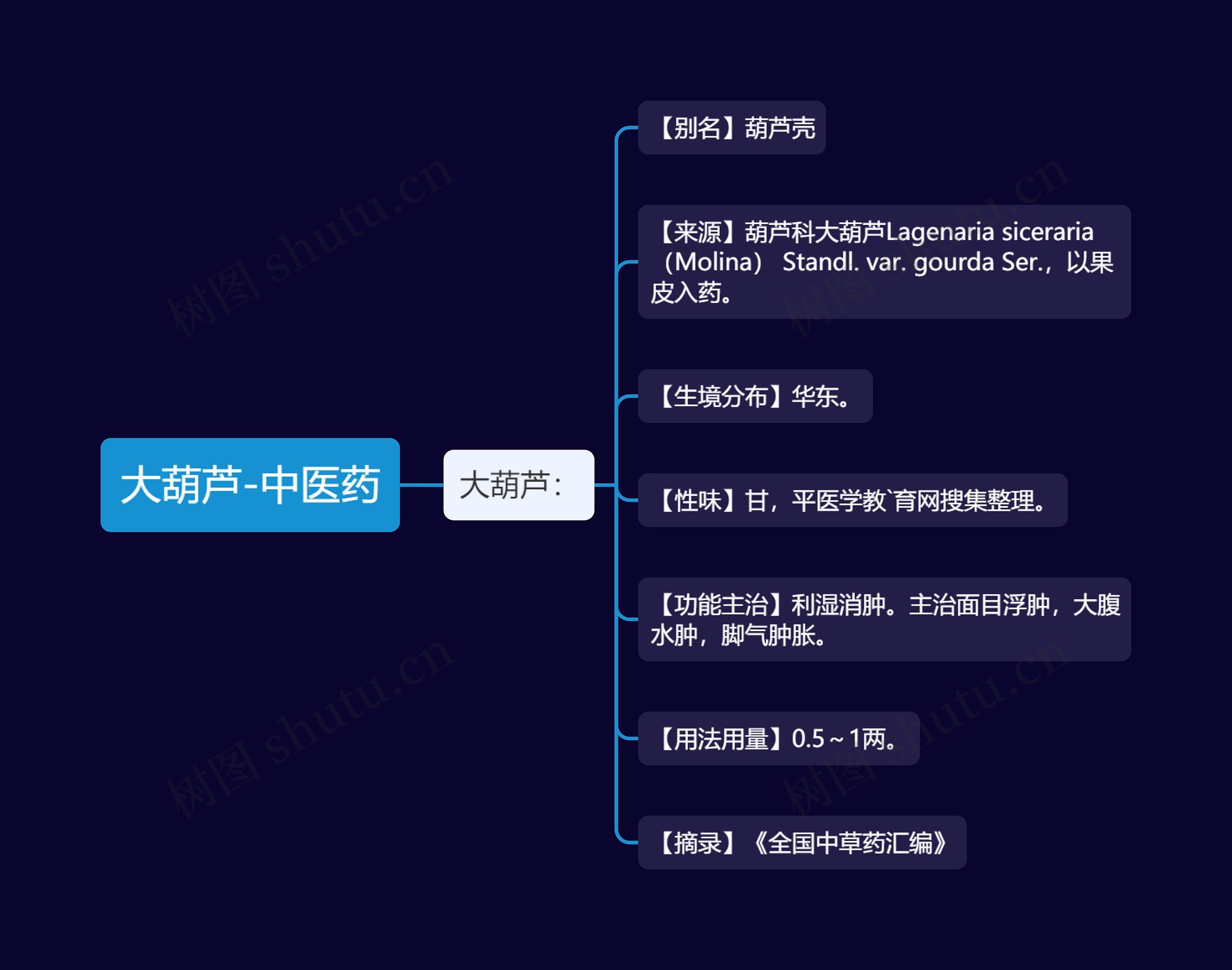 大葫芦-中医药思维导图