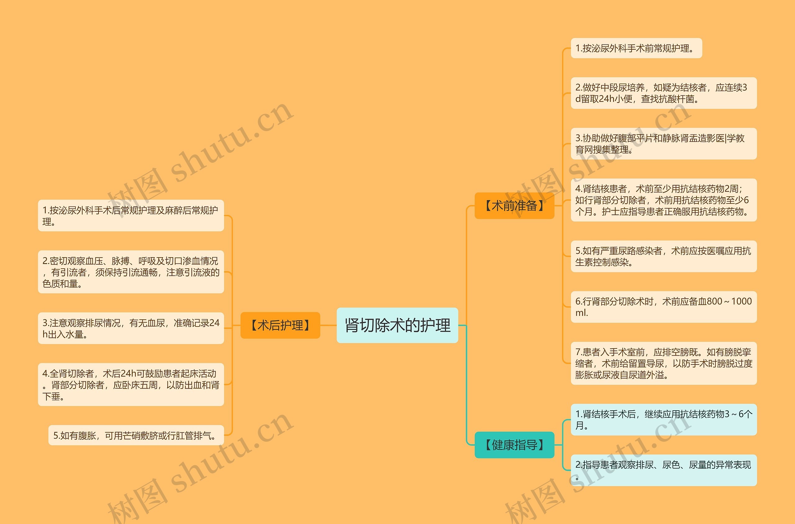 肾切除术的护理思维导图