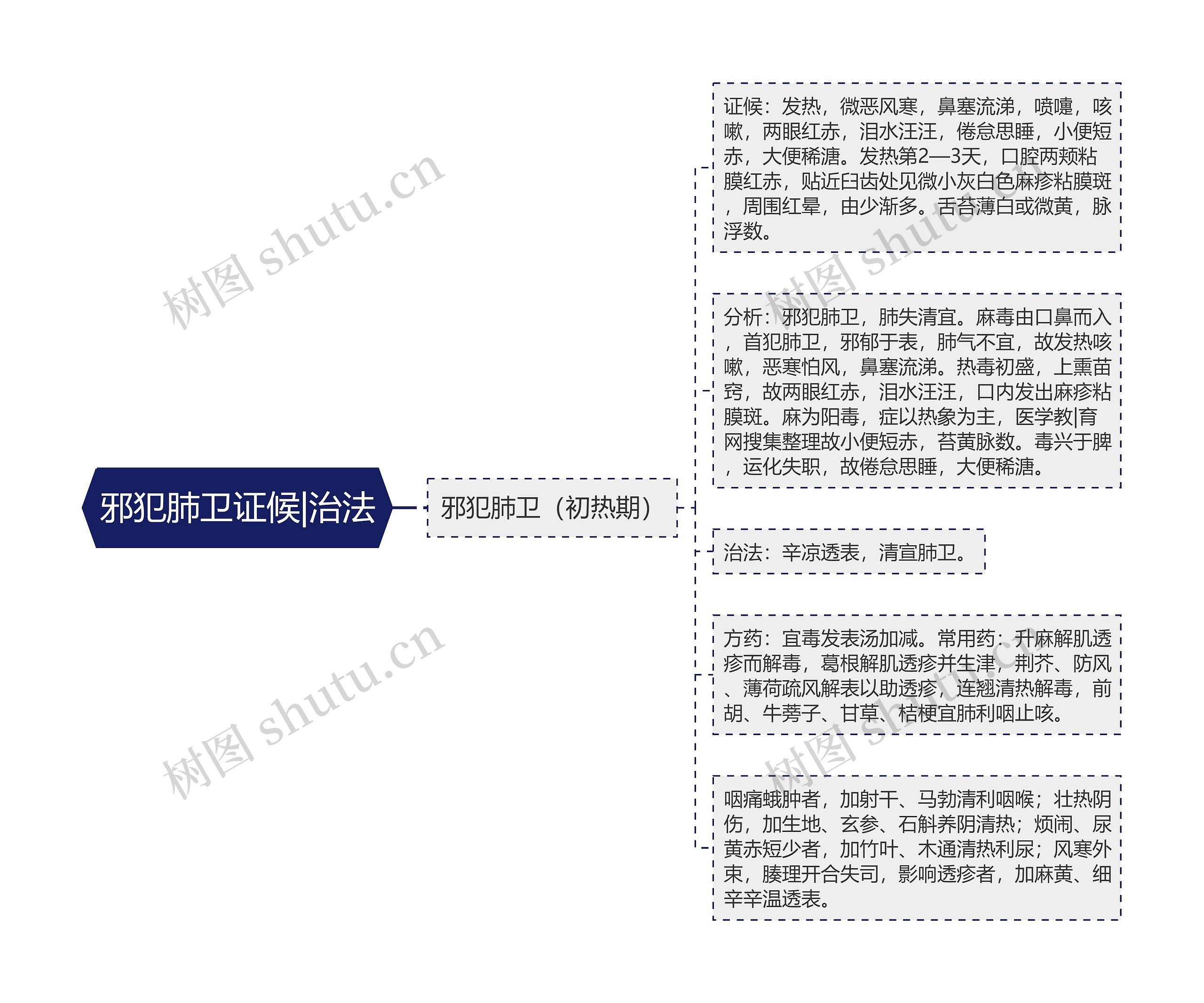 邪犯肺卫证候|治法思维导图