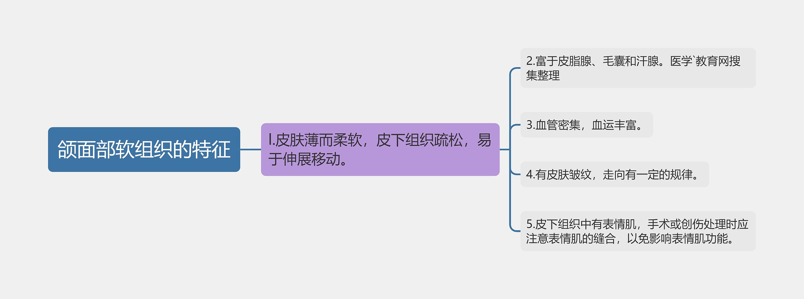 颌面部软组织的特征