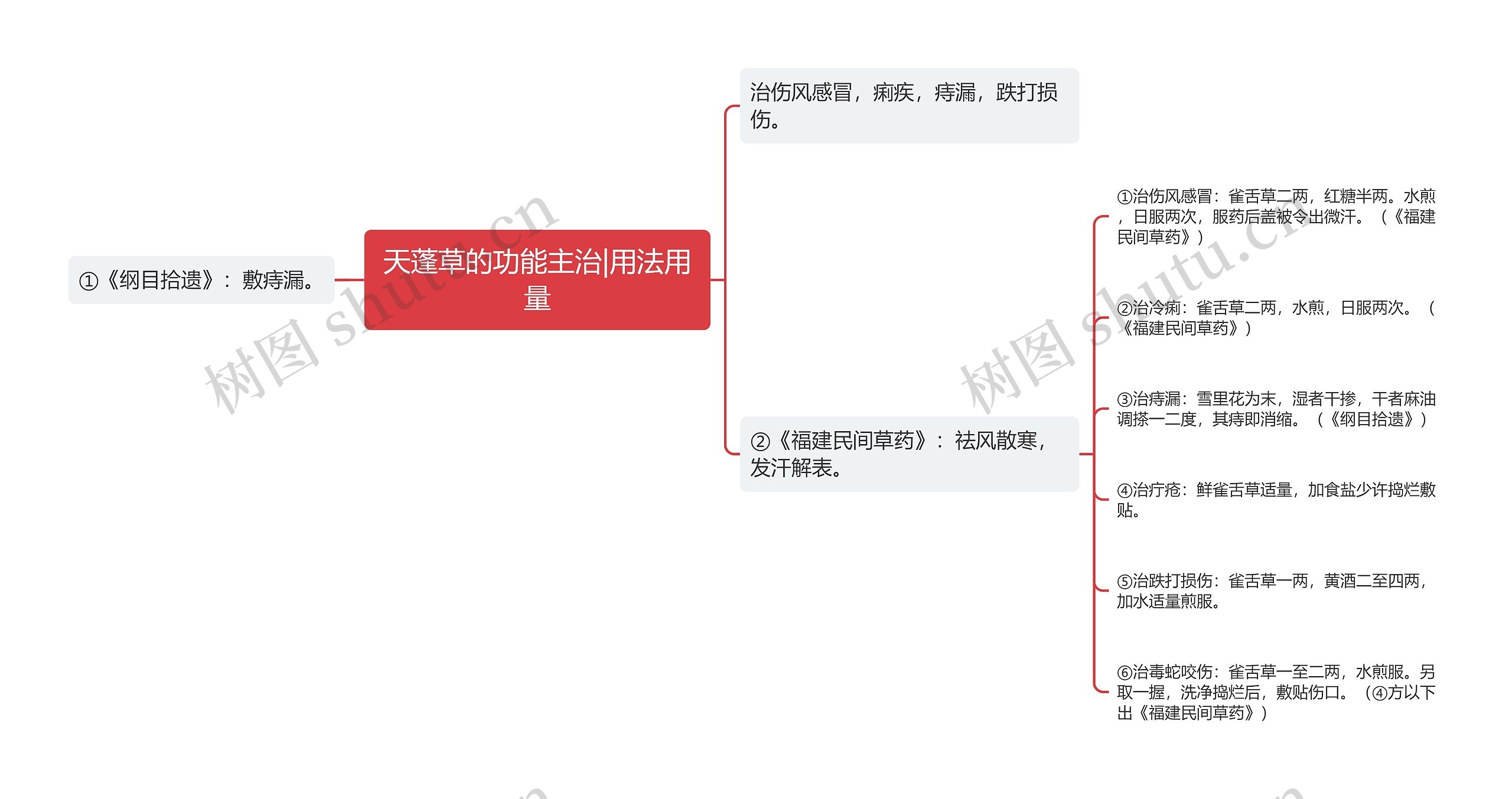 天蓬草的功能主治|用法用量思维导图