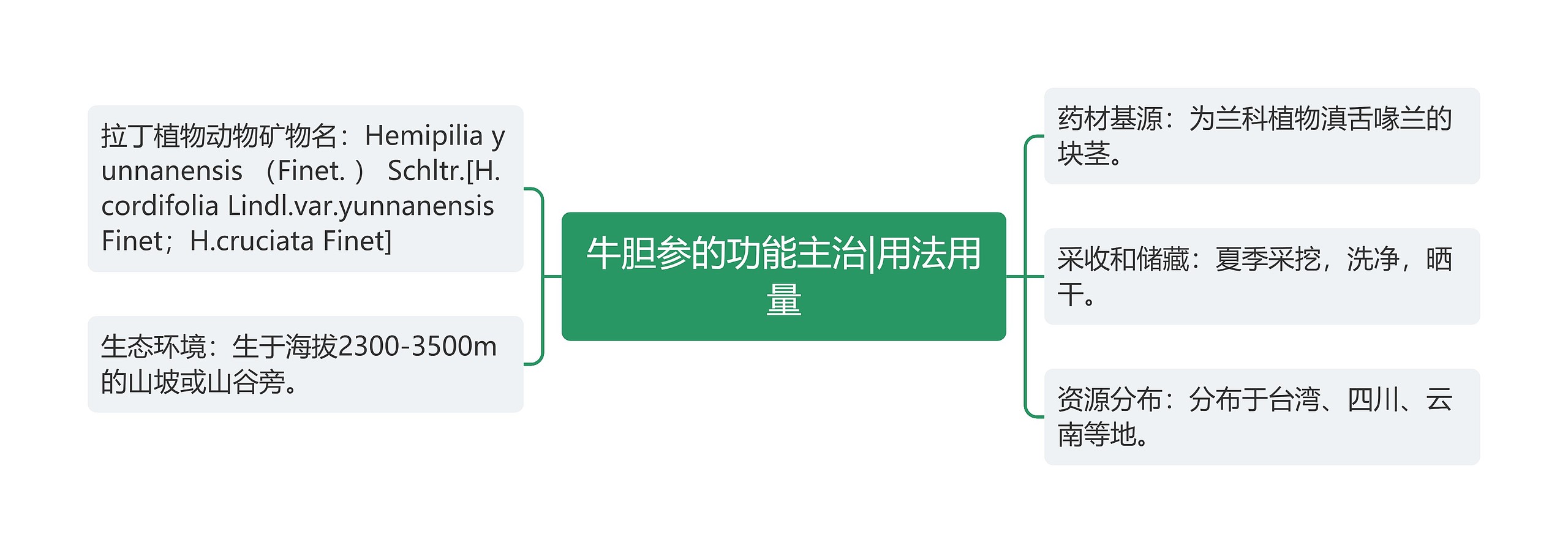 牛胆参的功能主治|用法用量思维导图