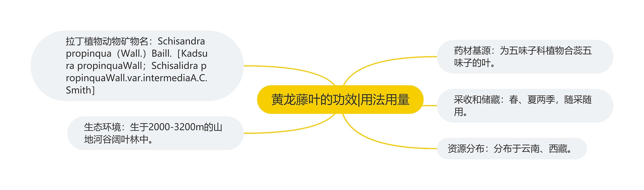 黄龙藤叶的功效|用法用量