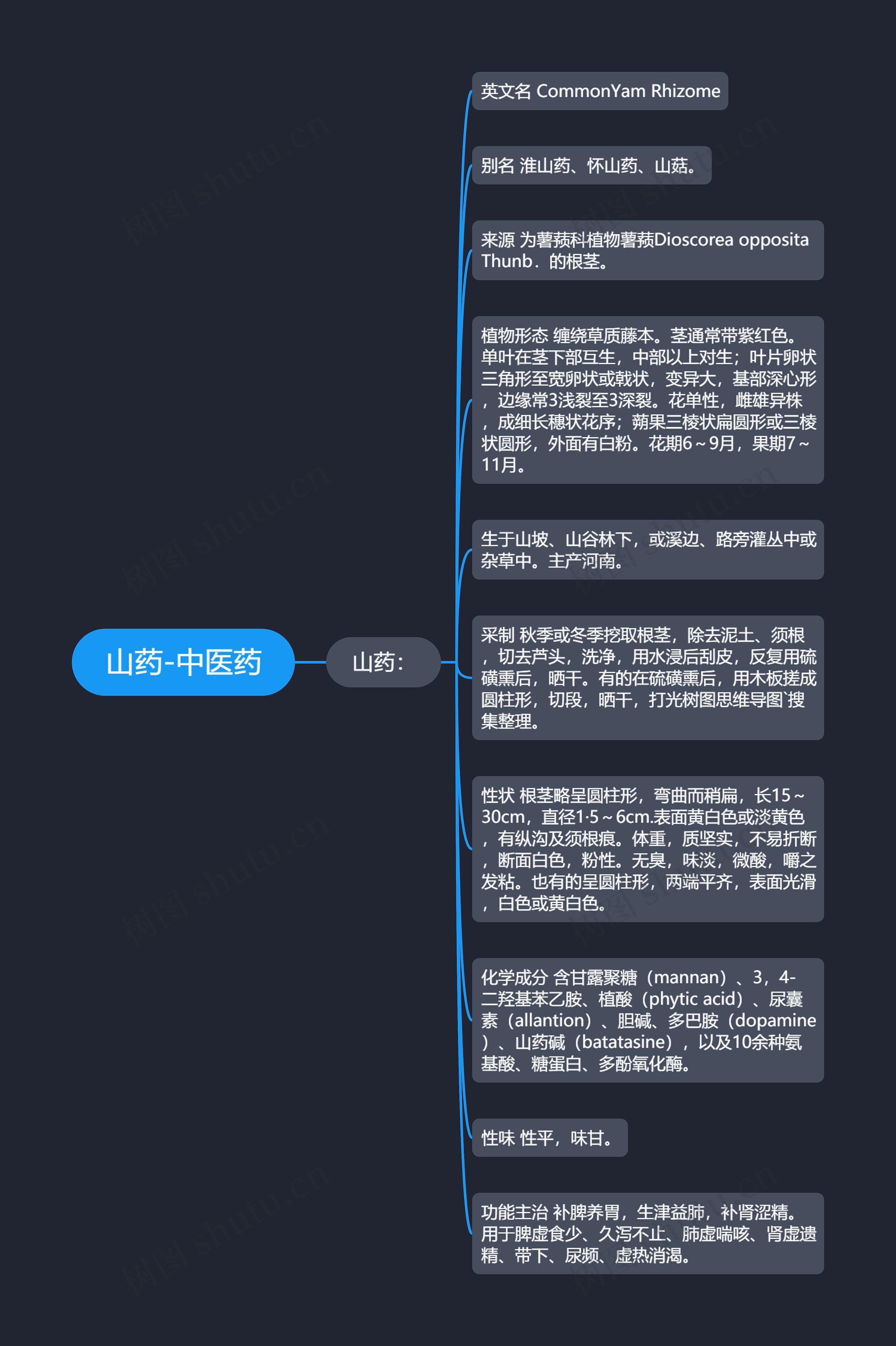 山药-中医药 山药-中医药