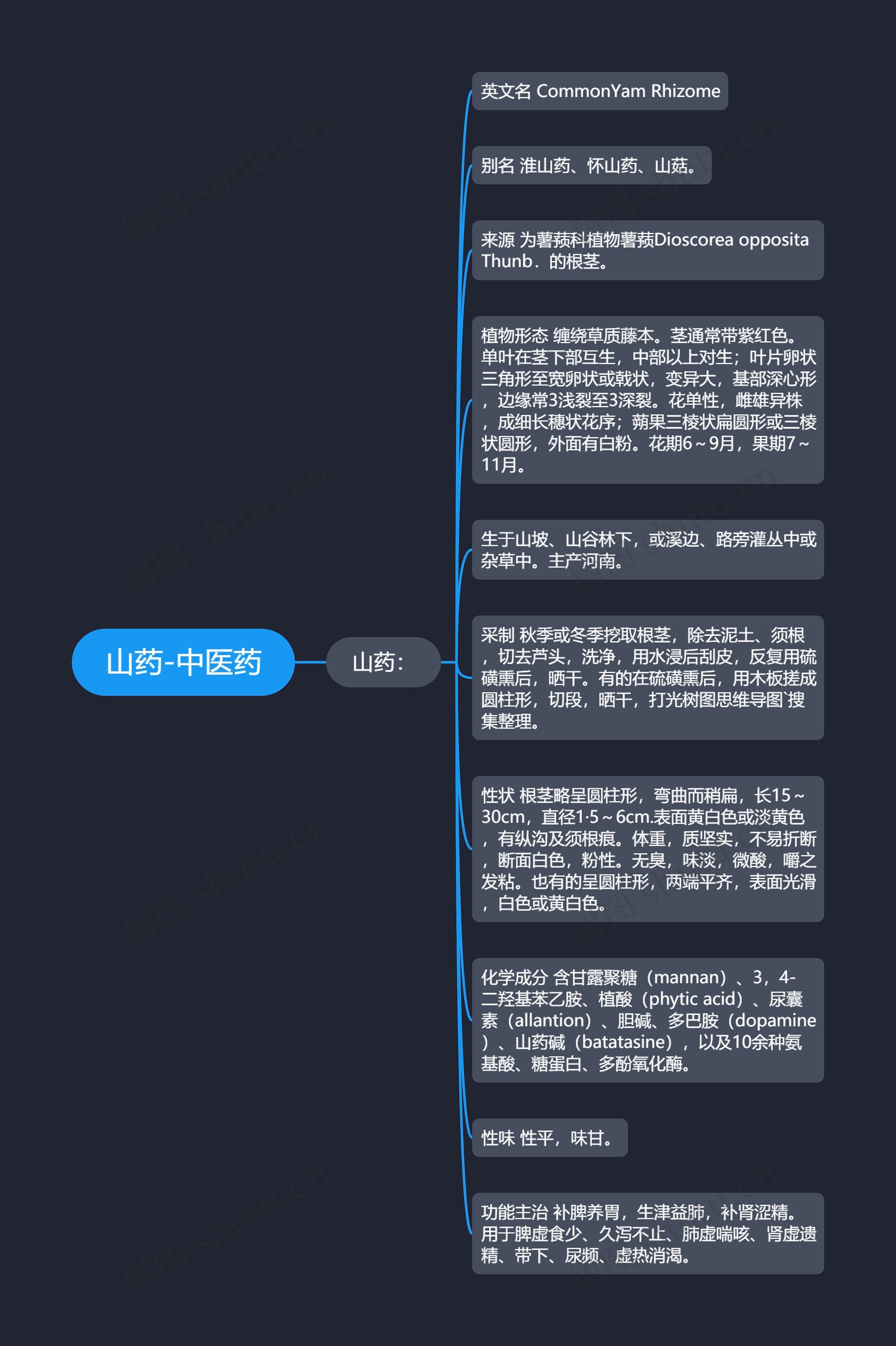 山药-中医药思维导图