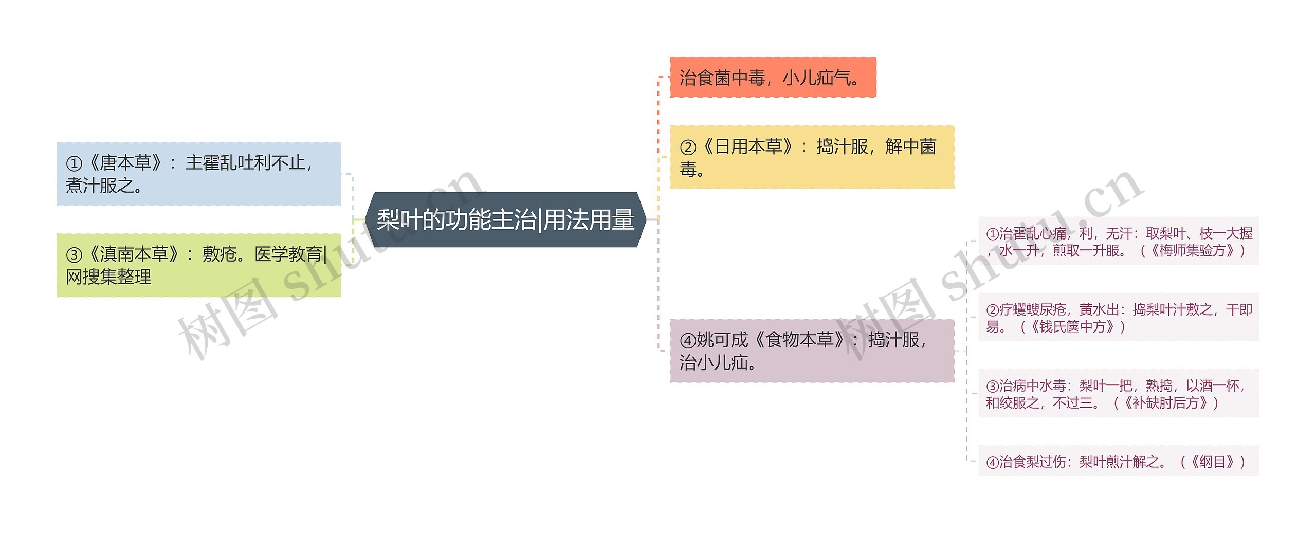 梨叶的功能主治|用法用量思维导图