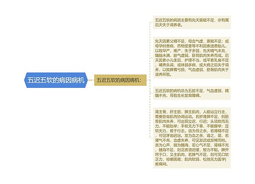 五迟五软的病因病机