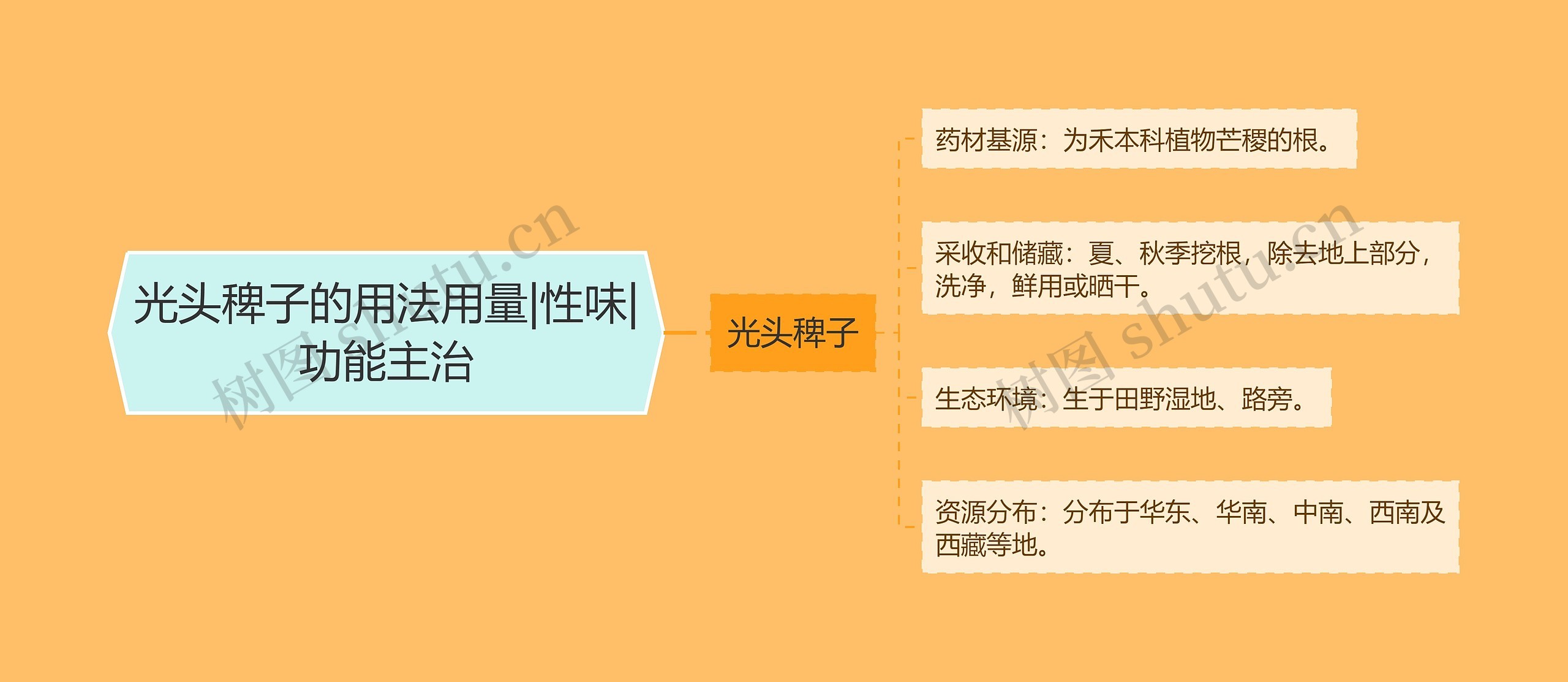 光头稗子的用法用量|性味|功能主治 光头稗子的用法用量|性味|功能主治