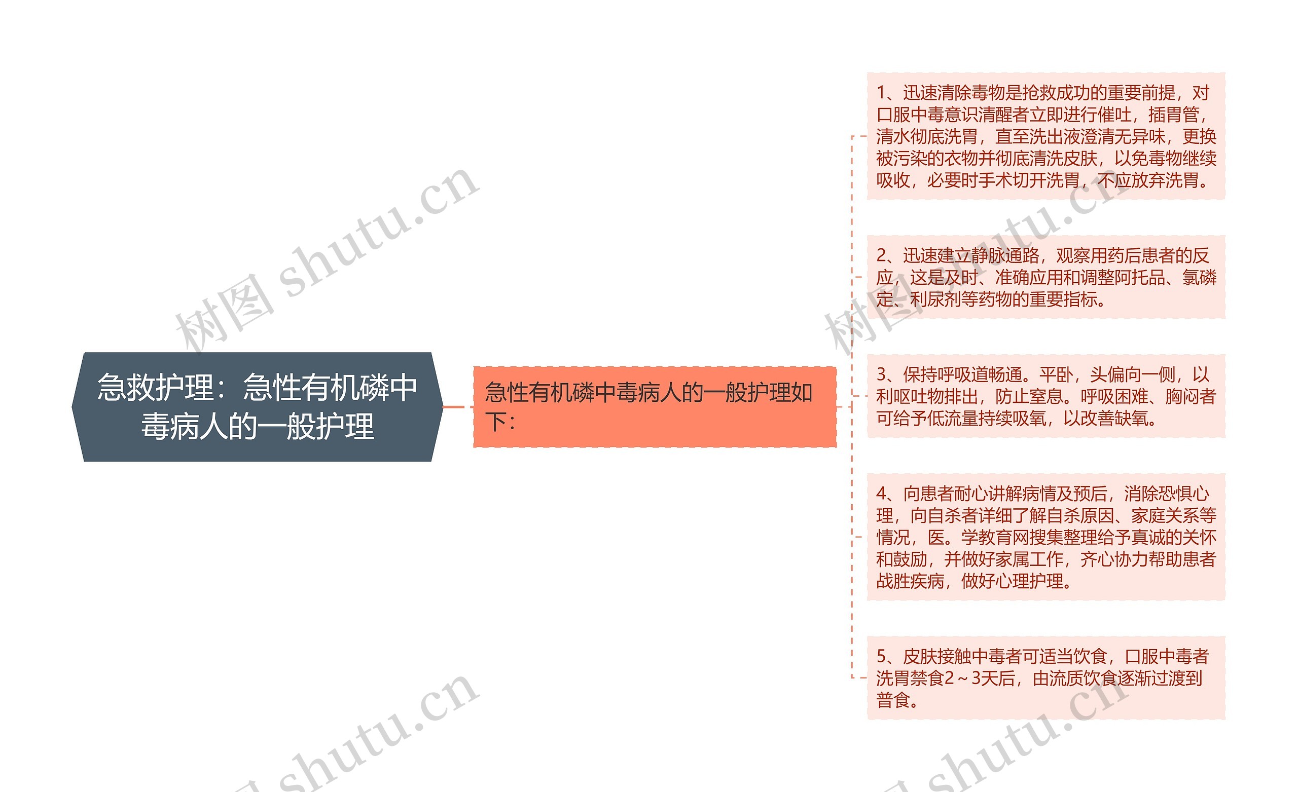 急救护理：急性有机磷中毒病人的一般护理思维导图