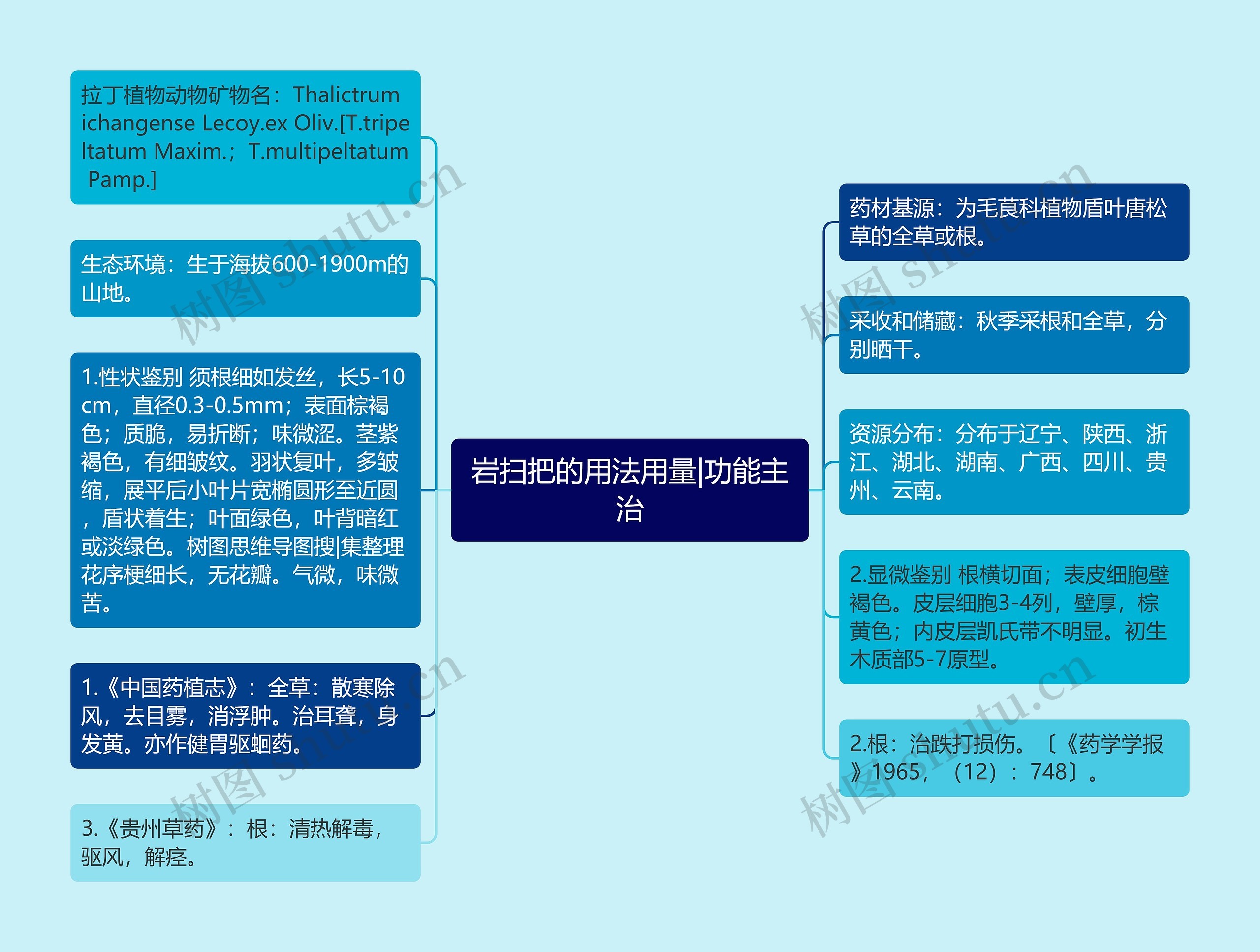 岩扫把的用法用量|功能主治思维导图