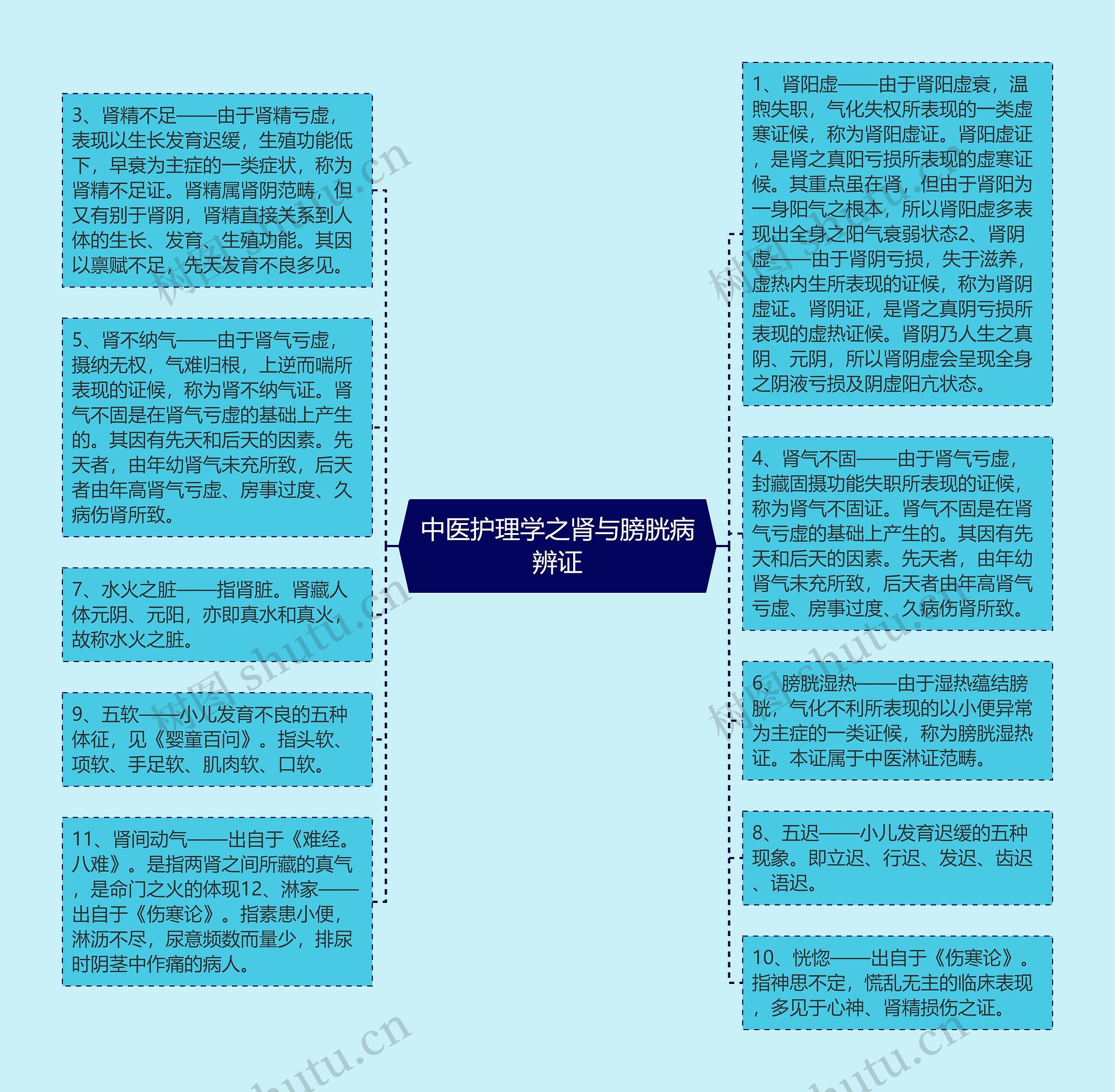 中医护理学之肾与膀胱病辨证思维导图