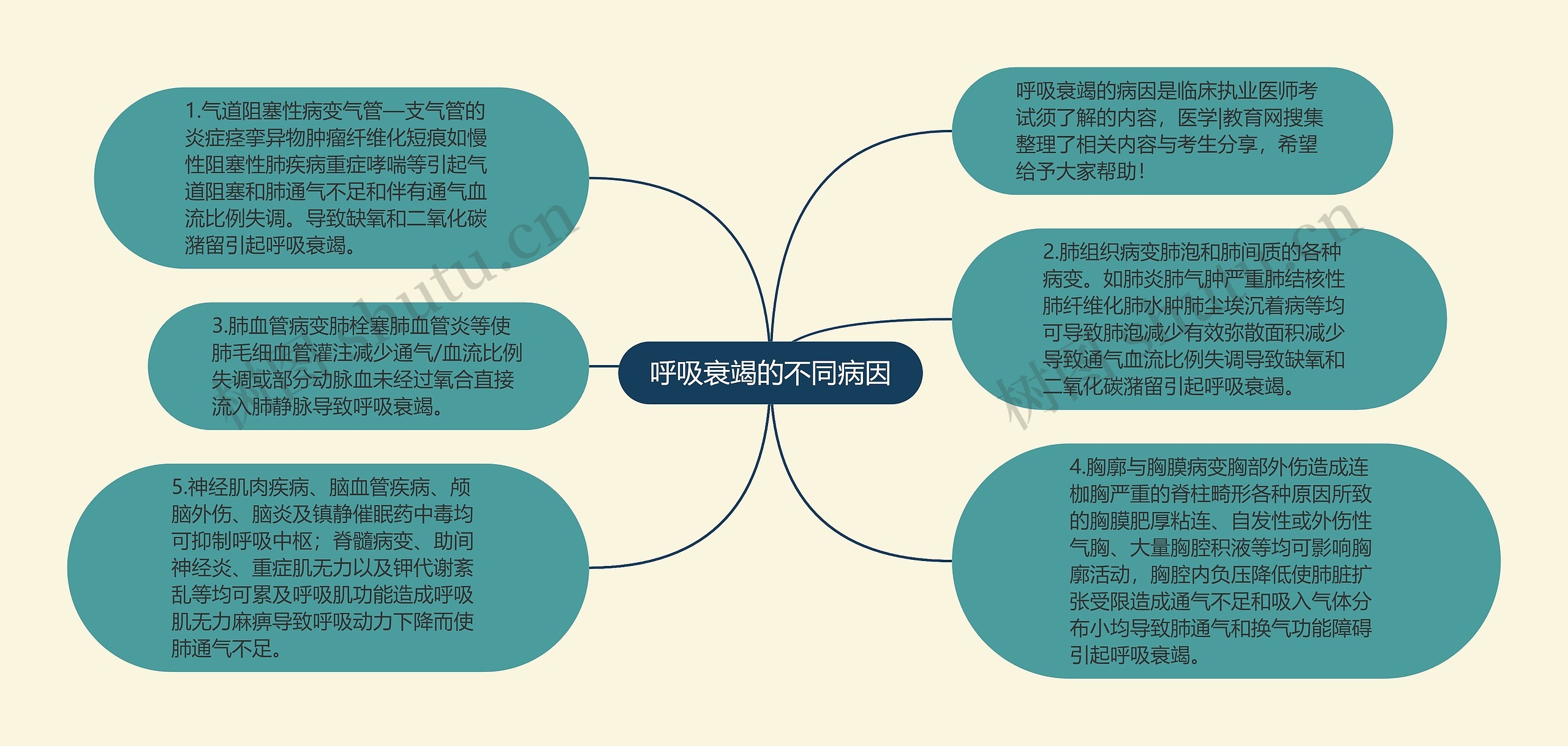 呼吸衰竭的不同病因思维导图