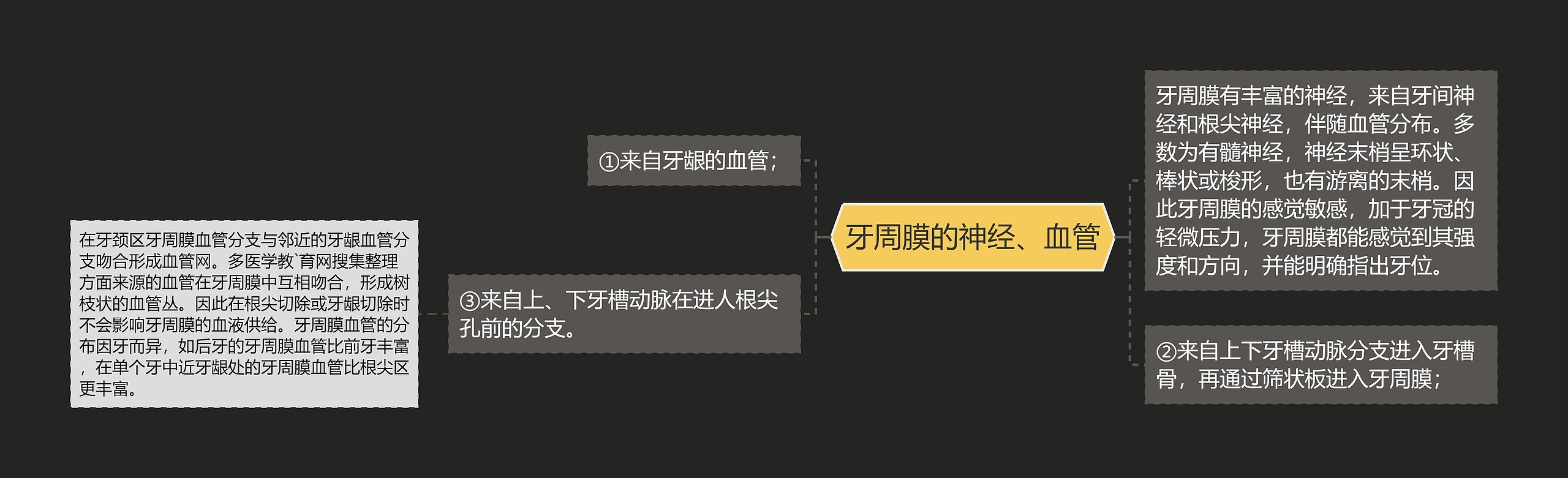 牙周膜的神经、血管思维导图