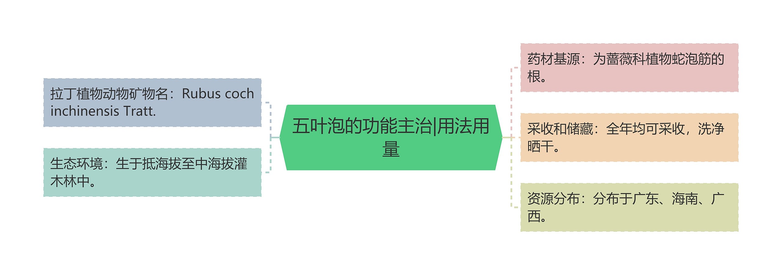 五叶泡的功能主治|用法用量 五叶泡的功能主治|用法用量