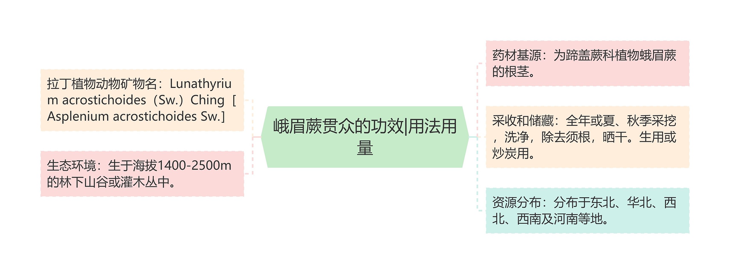 峨眉蕨贯众的功效|用法用量