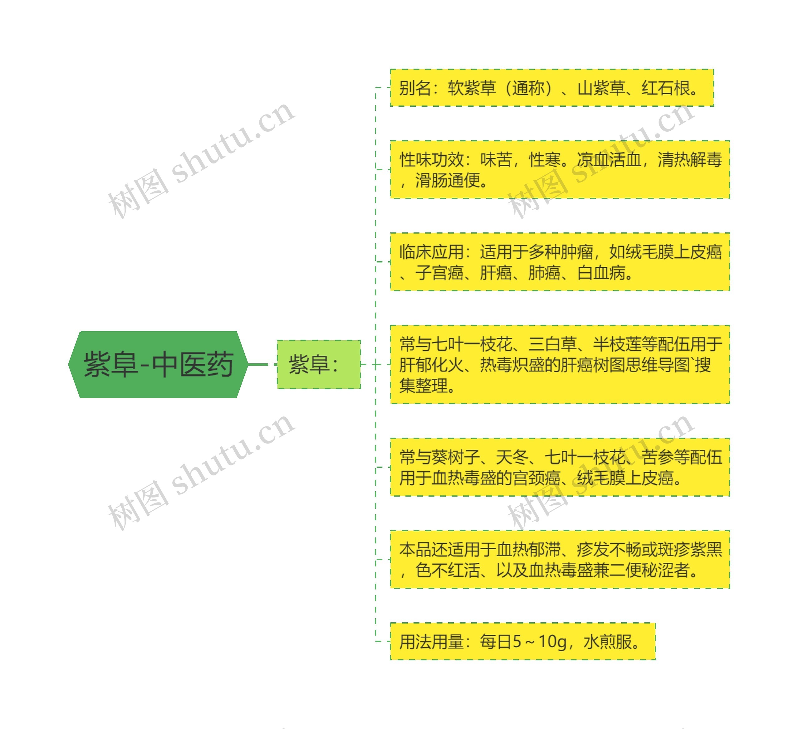 紫阜-中医药思维导图