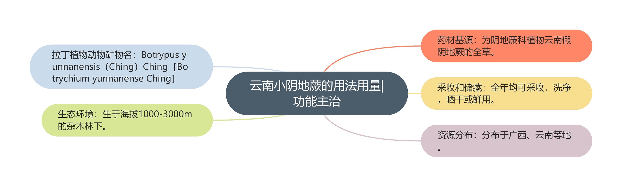 云南小阴地蕨的用法用量|功能主治 云南小阴地蕨的用法用量|功能主治