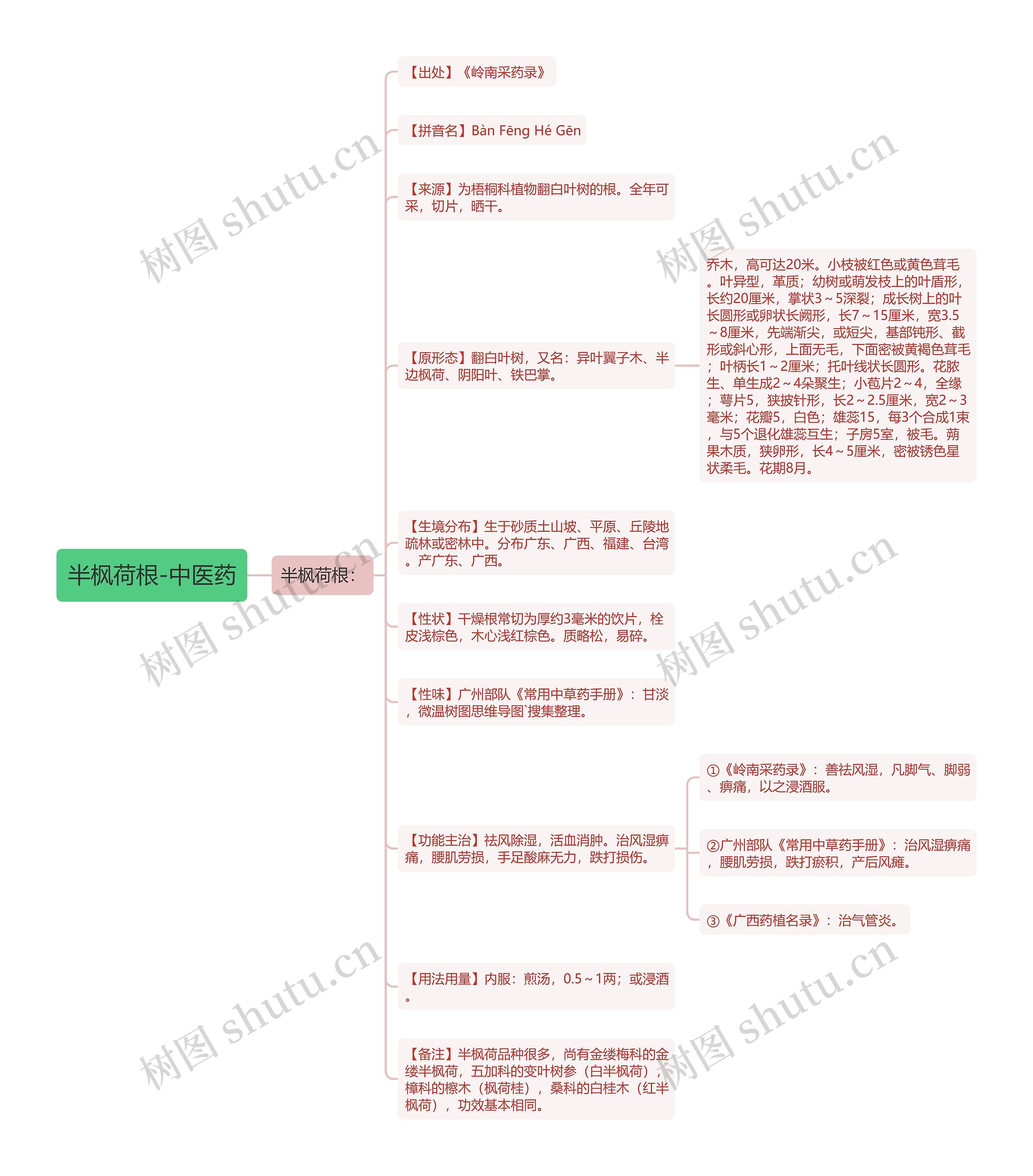 半枫荷根-中医药思维导图
