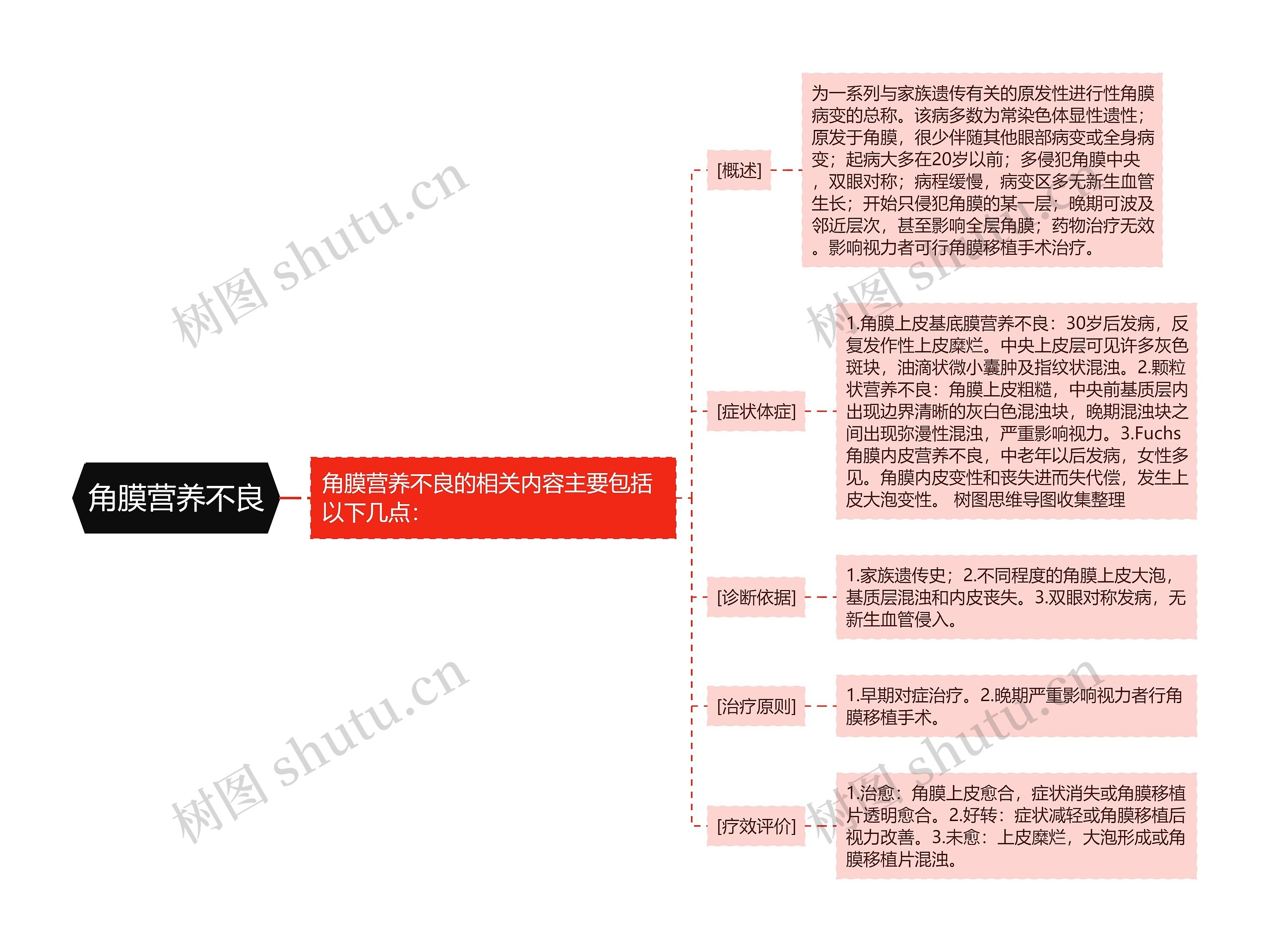 角膜营养不良思维导图