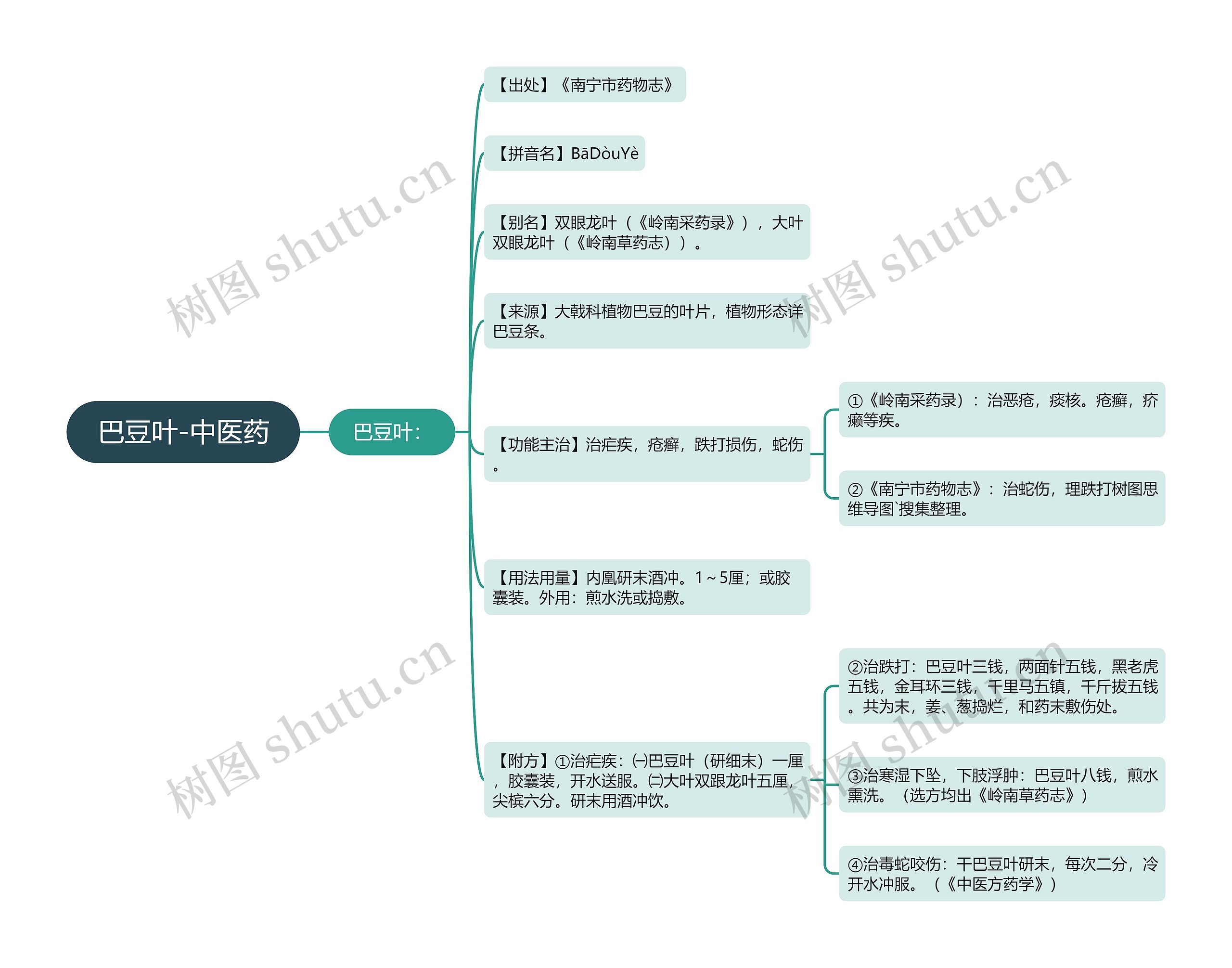 巴豆叶-中医药 巴豆叶-中医药