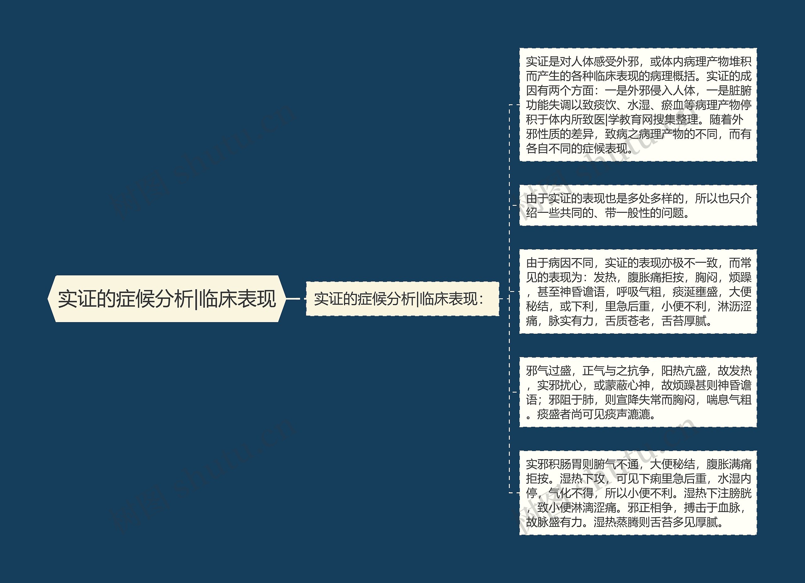 实证的症候分析|临床表现思维导图