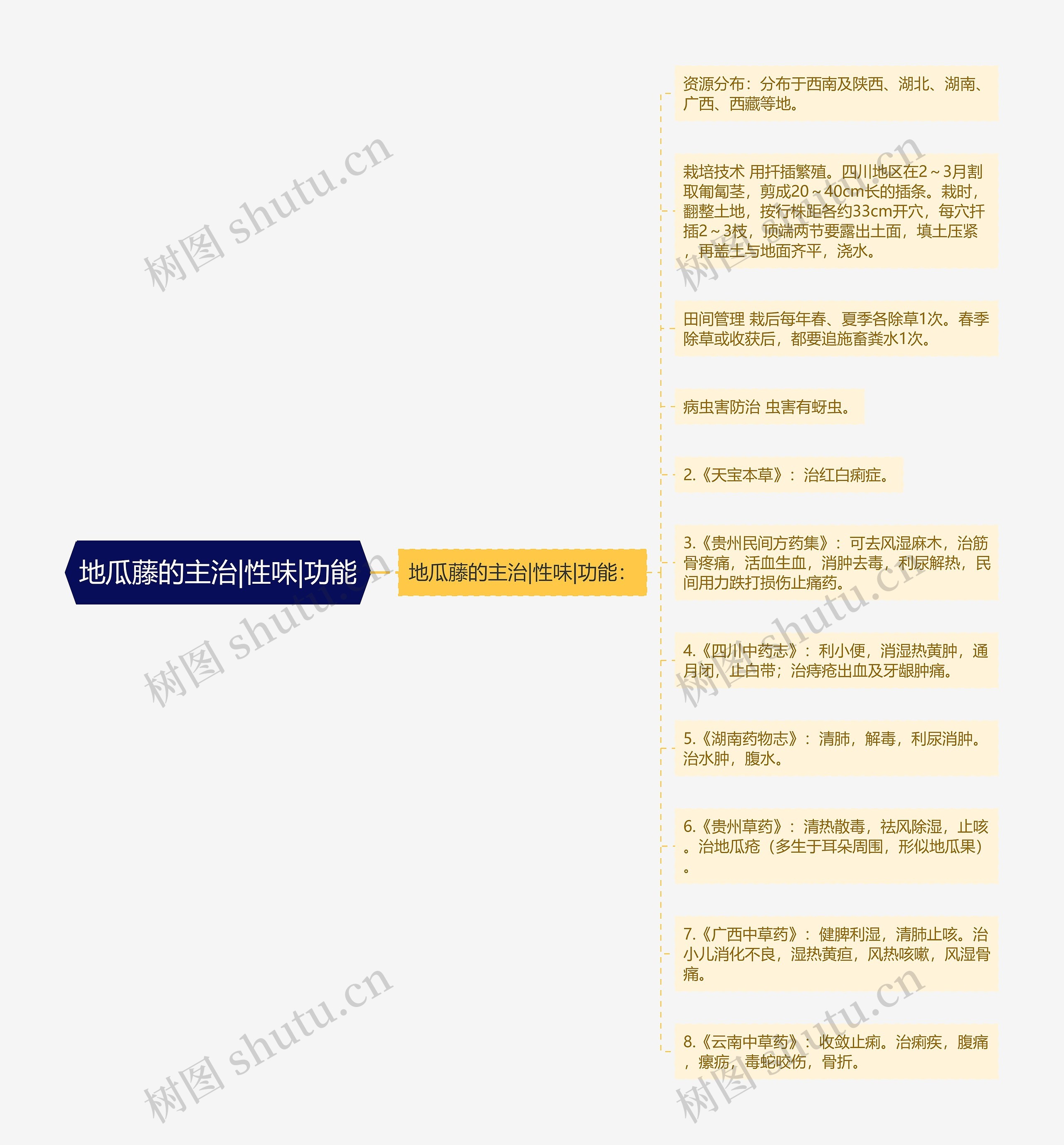 地瓜藤的主治|性味|功能思维导图