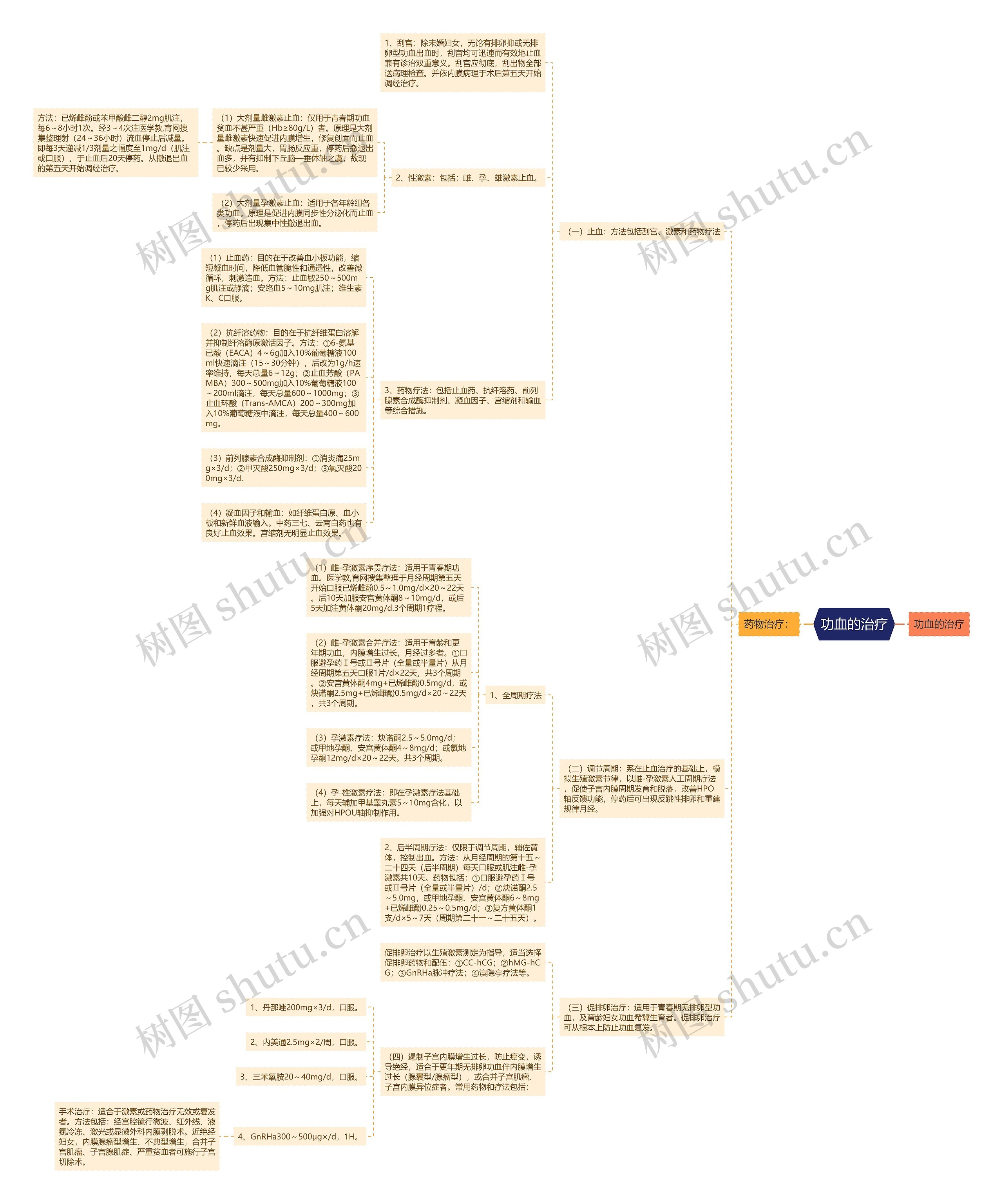 功血的治疗思维导图