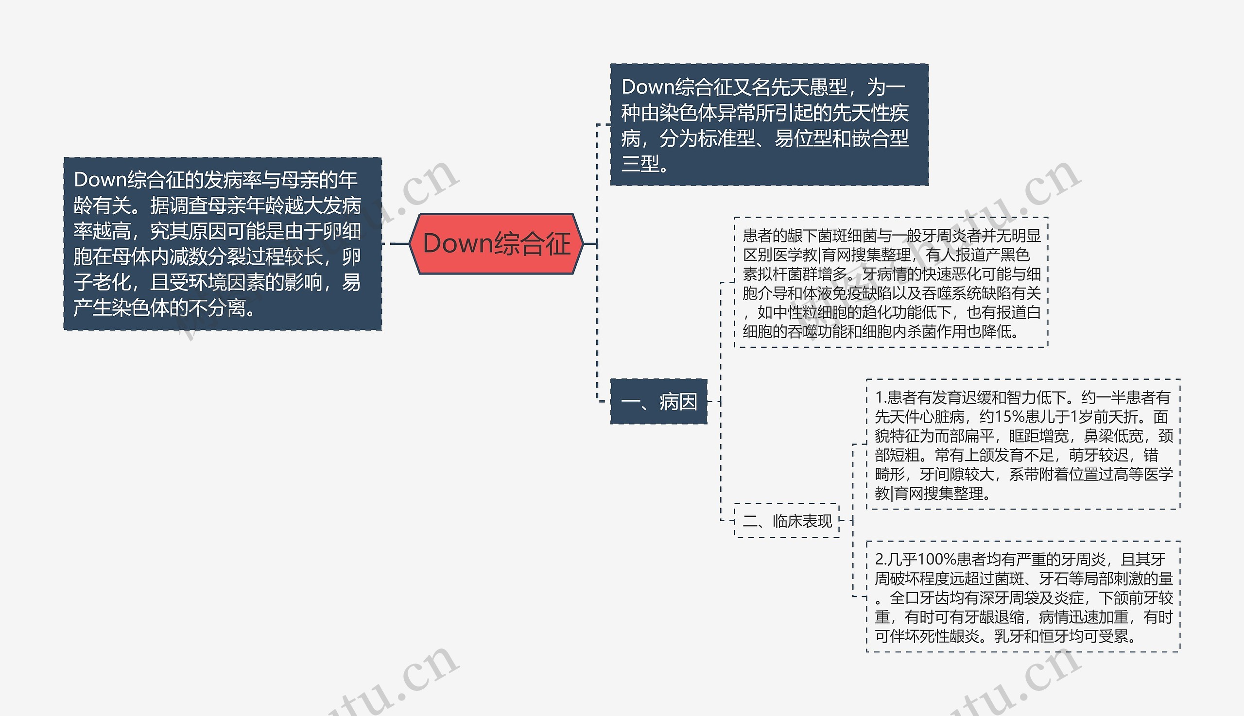 Down综合征 Down综合征