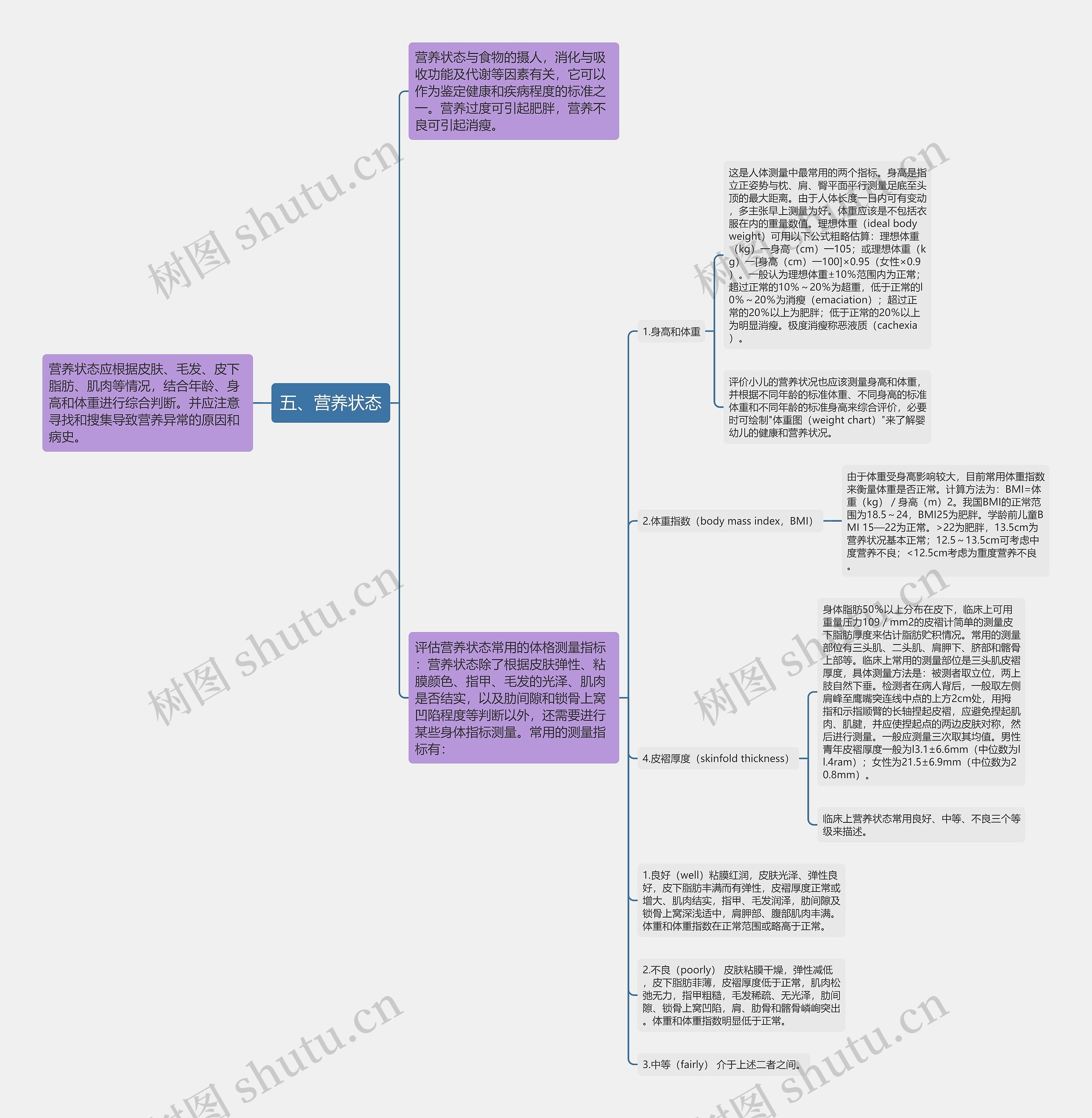 五、营养状态思维导图