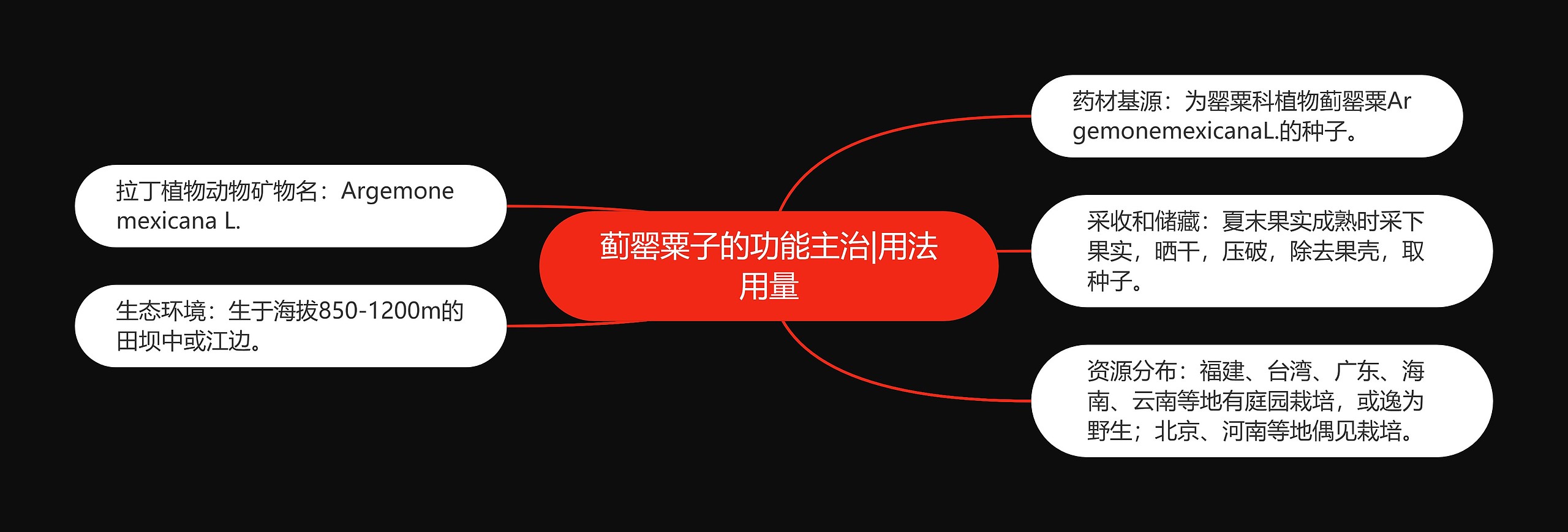 蓟罂粟子的功能主治|用法用量 蓟罂粟子的功能主治|用法用量