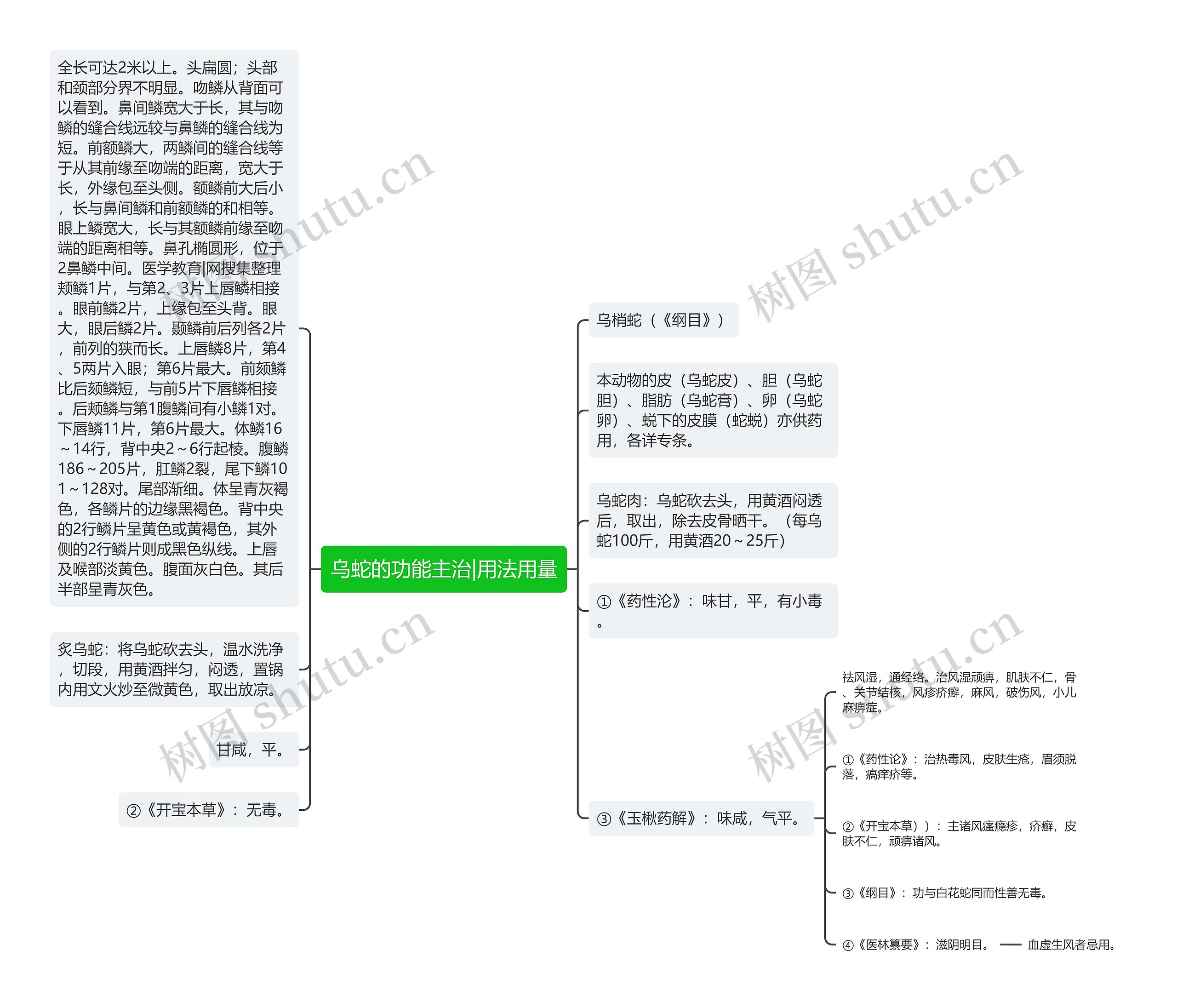 乌蛇的功能主治|用法用量 乌蛇的功能主治|用法用量
