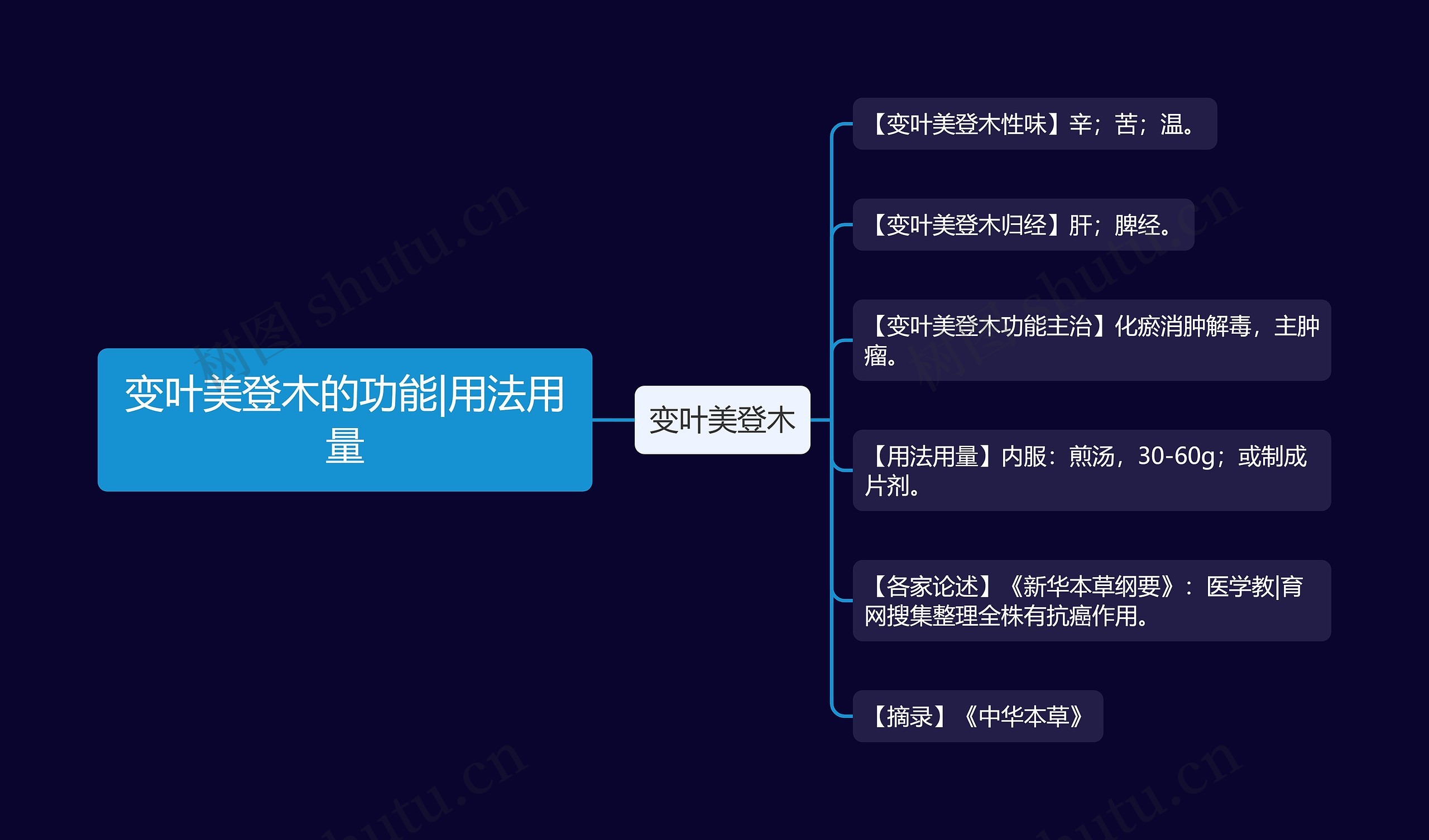 变叶美登木的功能|用法用量思维导图