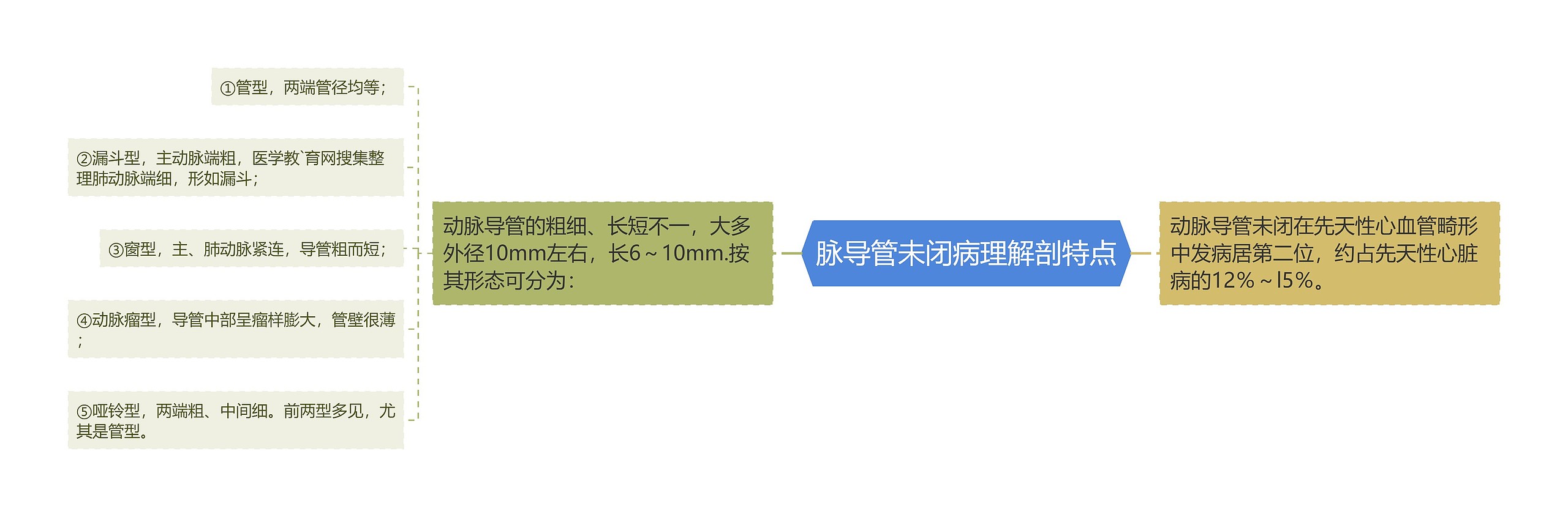 脉导管未闭病理解剖特点思维导图