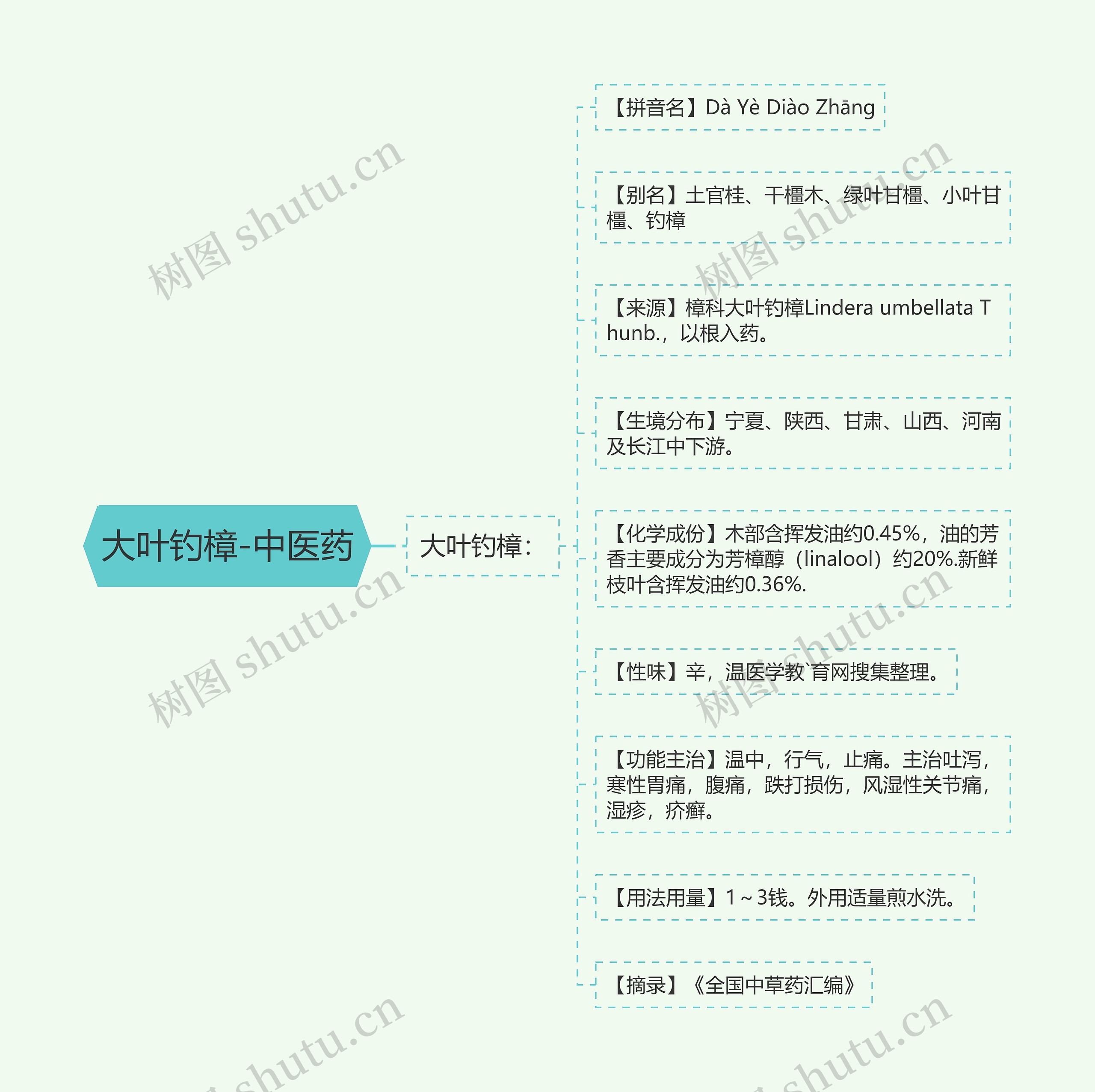 大叶钓樟-中医药 大叶钓樟-中医药