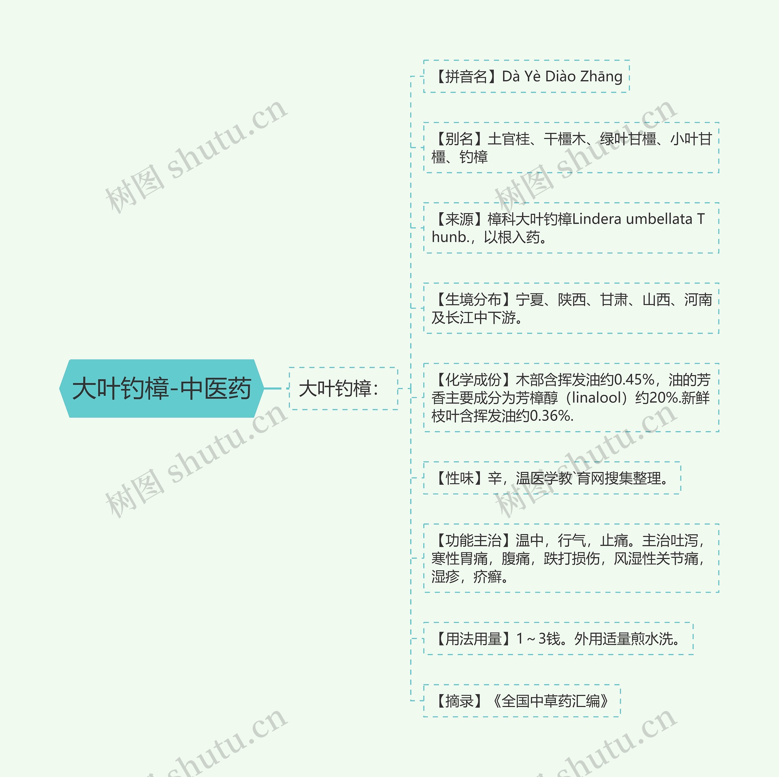大叶钓樟-中医药思维导图