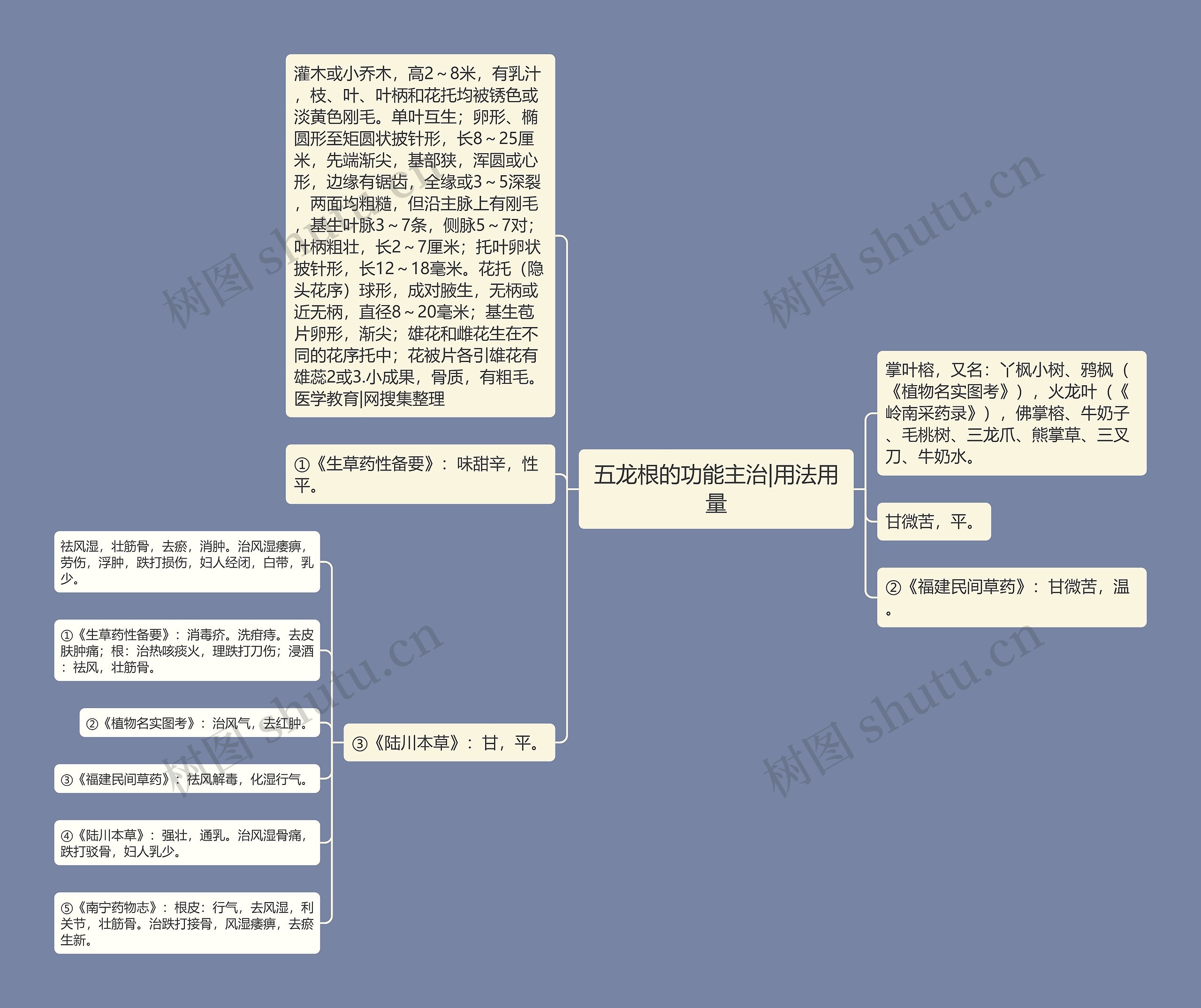 五龙根的功能主治|用法用量思维导图