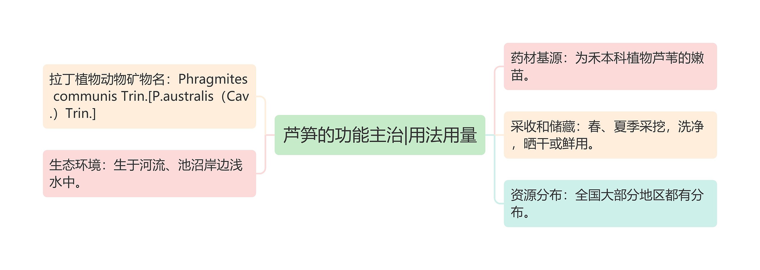 芦笋的功能主治|用法用量 芦笋的功能主治|用法用量