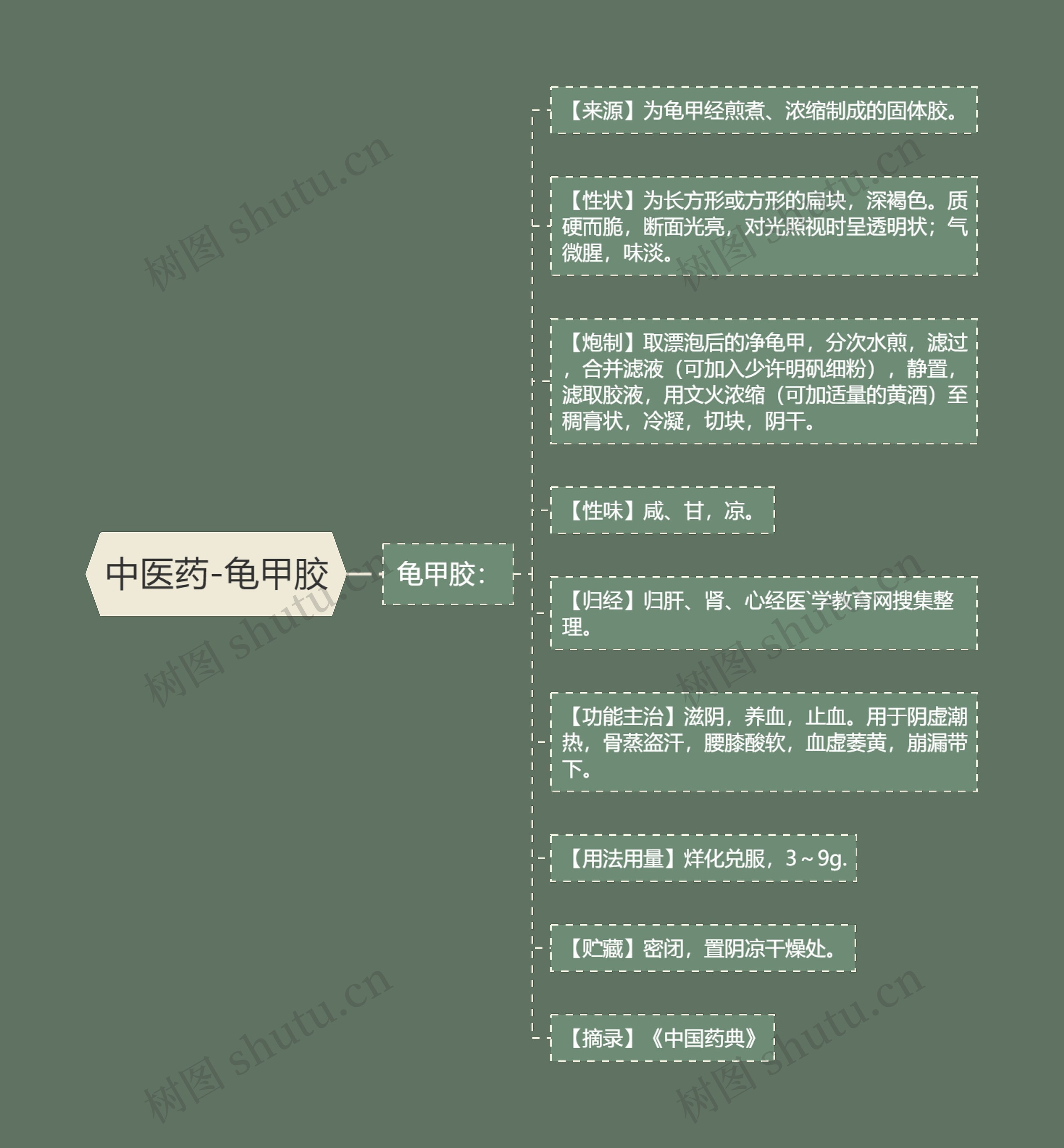 中医药-龟甲胶思维导图