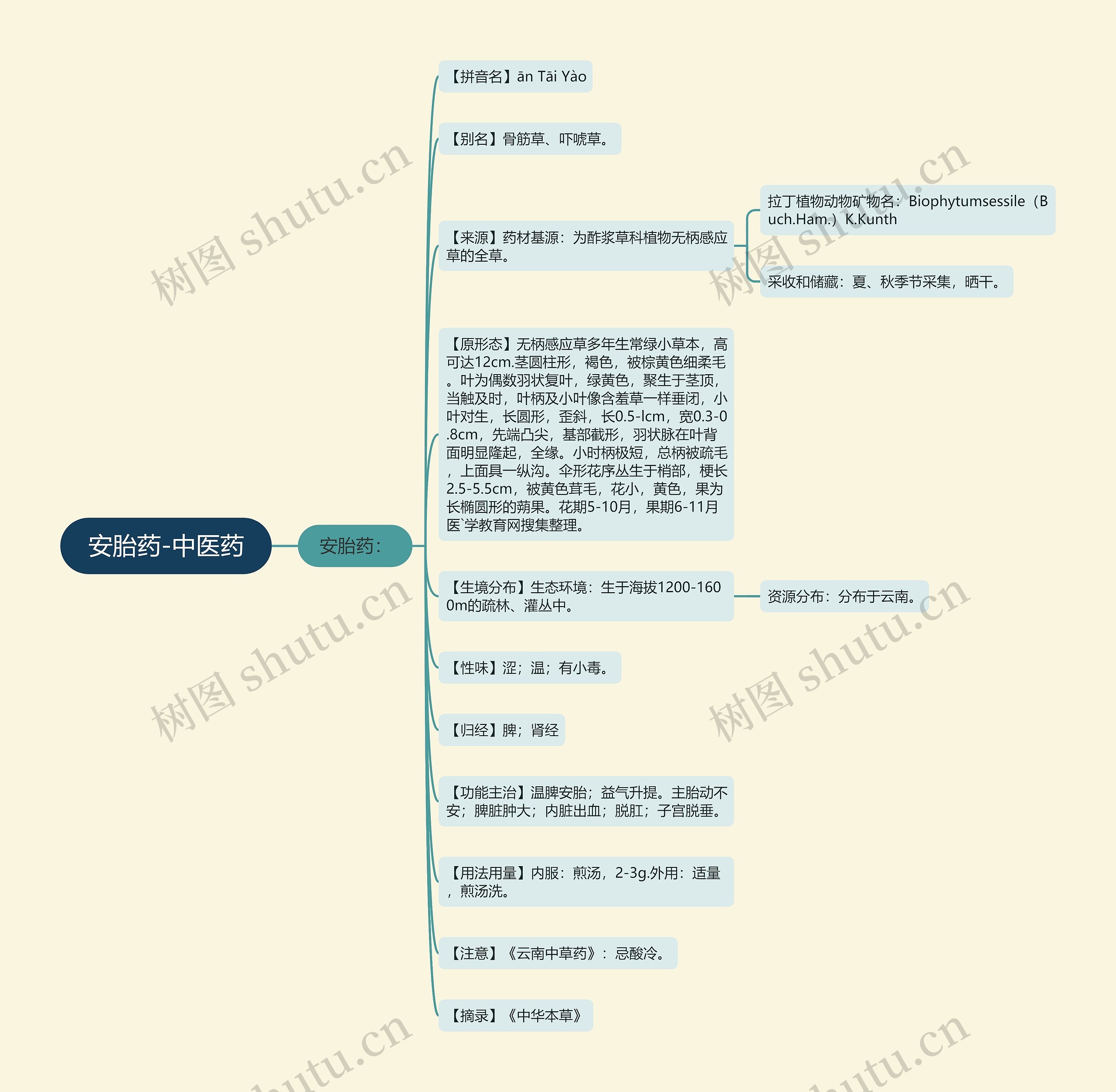 安胎药-中医药 安胎药-中医药