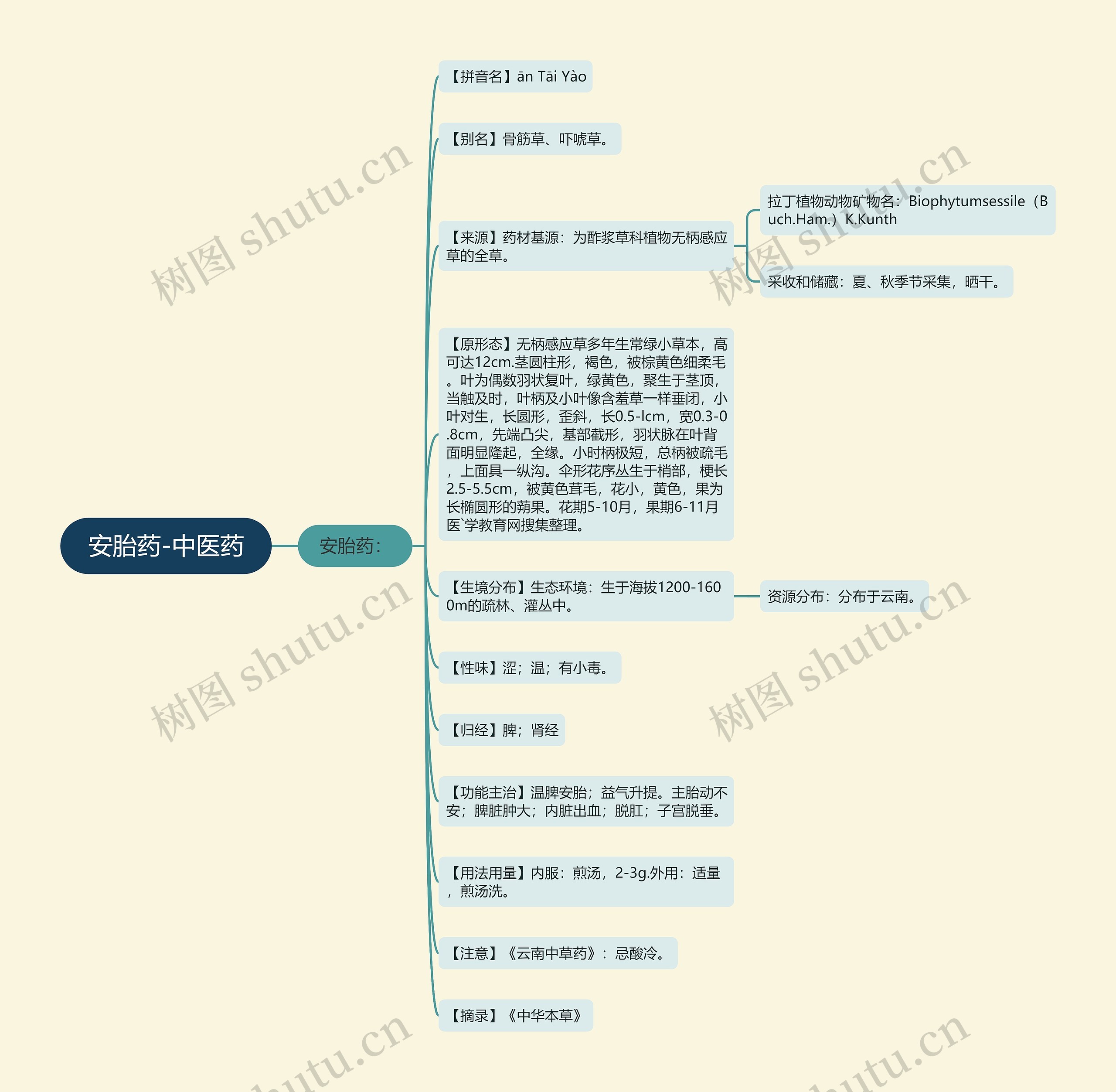 安胎药-中医药思维导图
