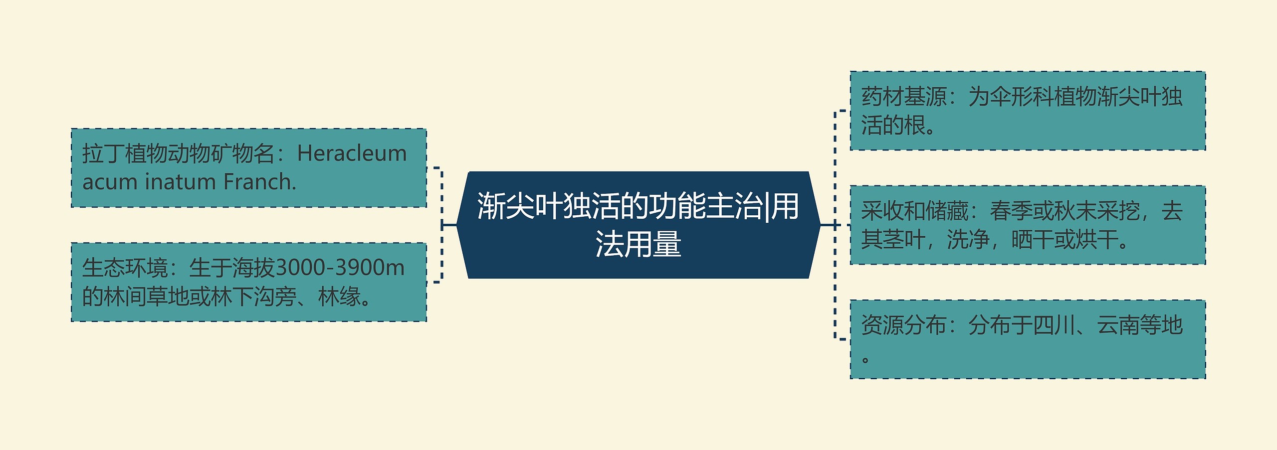 渐尖叶独活的功能主治|用法用量 渐尖叶独活的功能主治|用法用量
