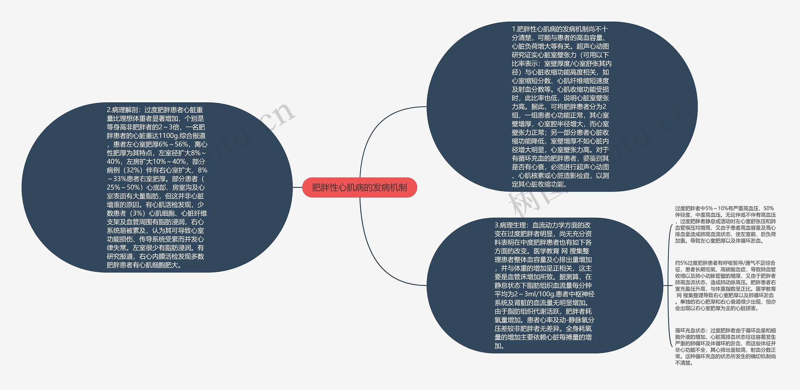 肥胖性心肌病的发病机制思维导图